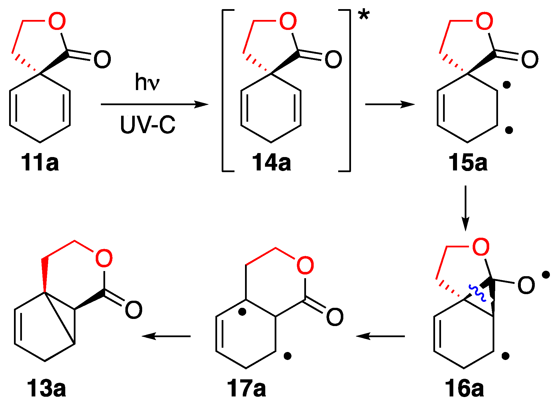 Photochem 03 00025 sch003