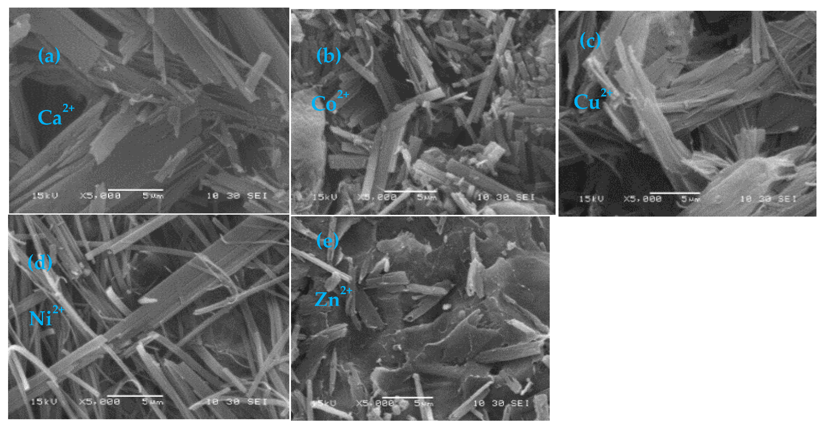 Photochem 03 00026 g005