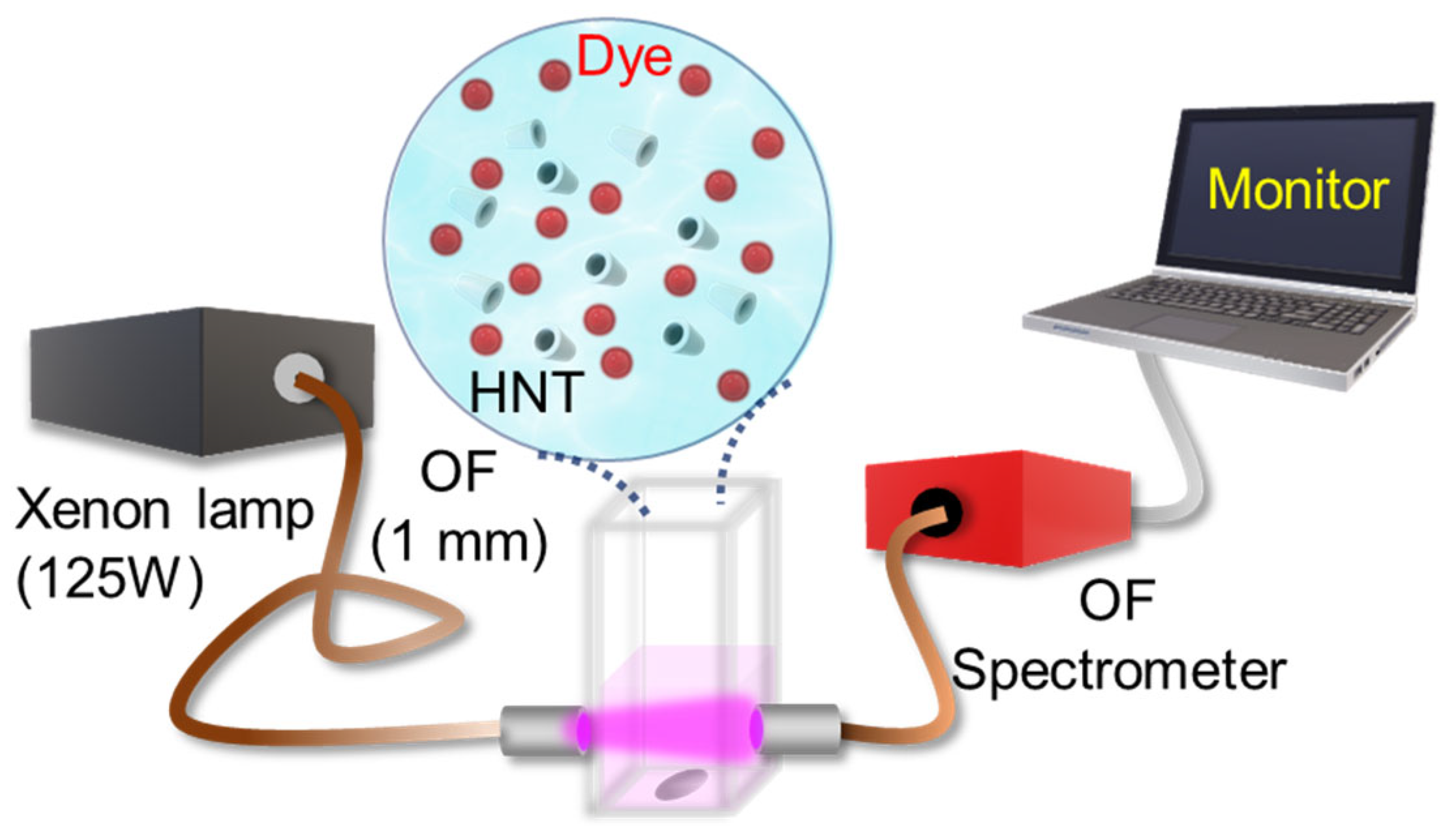 Photochem 04 00009 g001