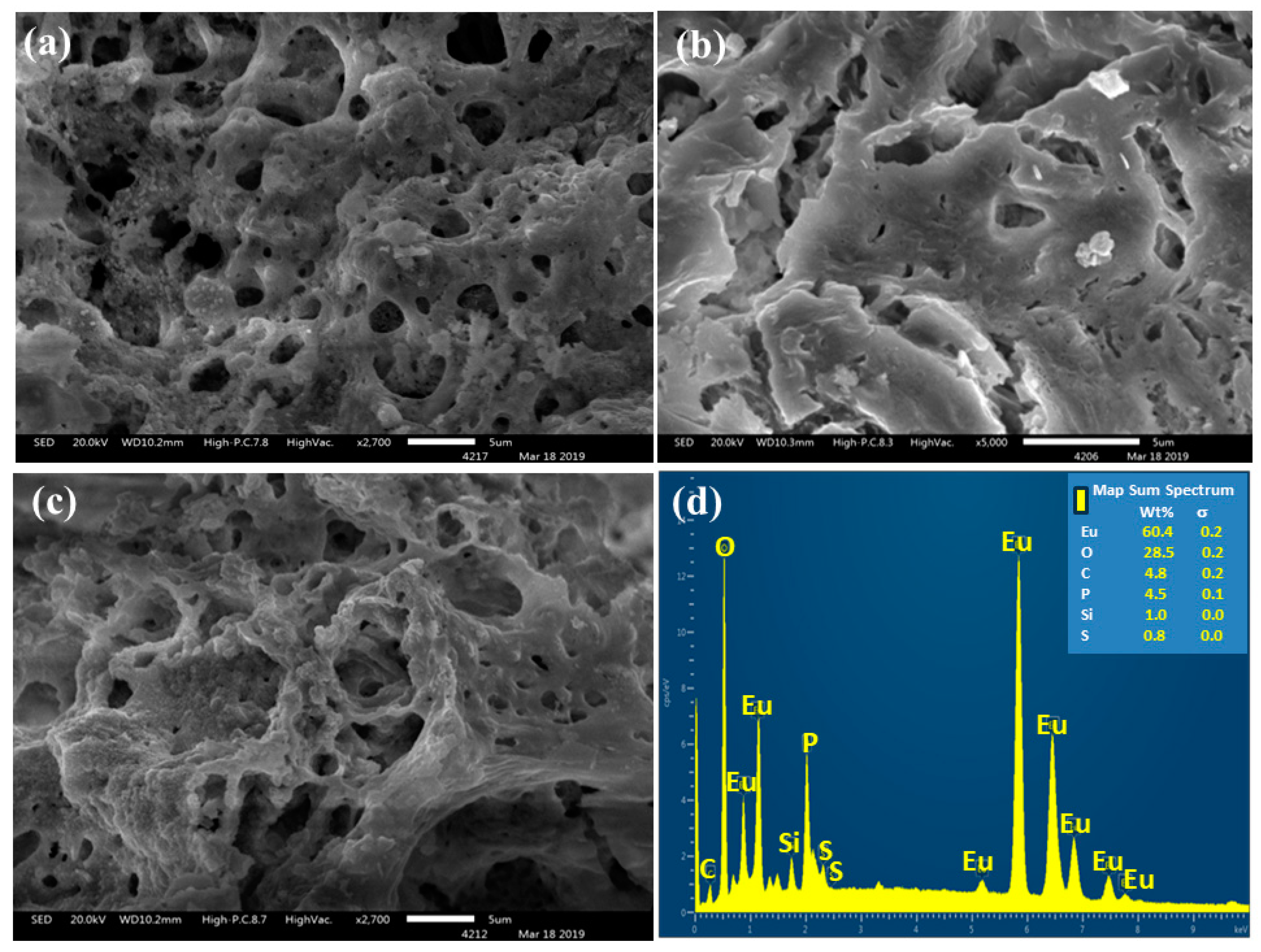 Photochem 04 00018 g013