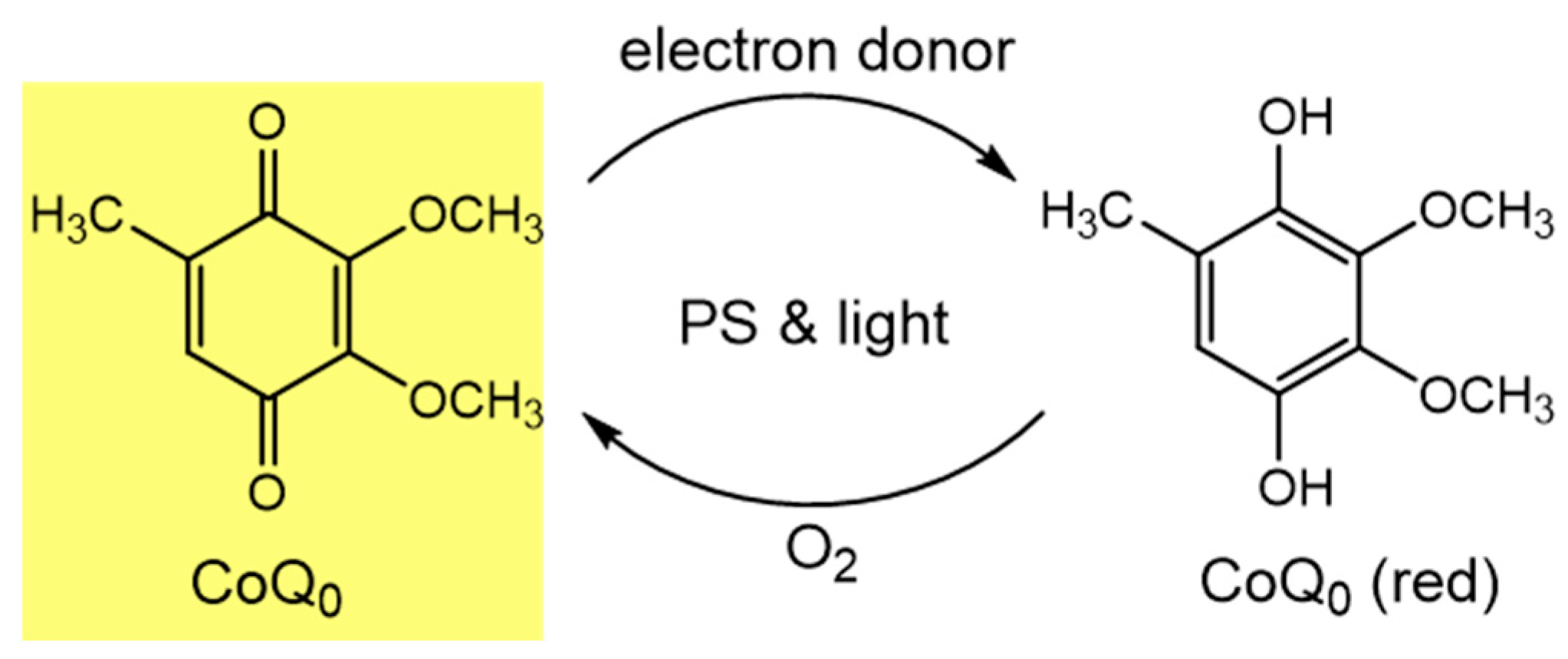 Photochem 04 00021 sch002