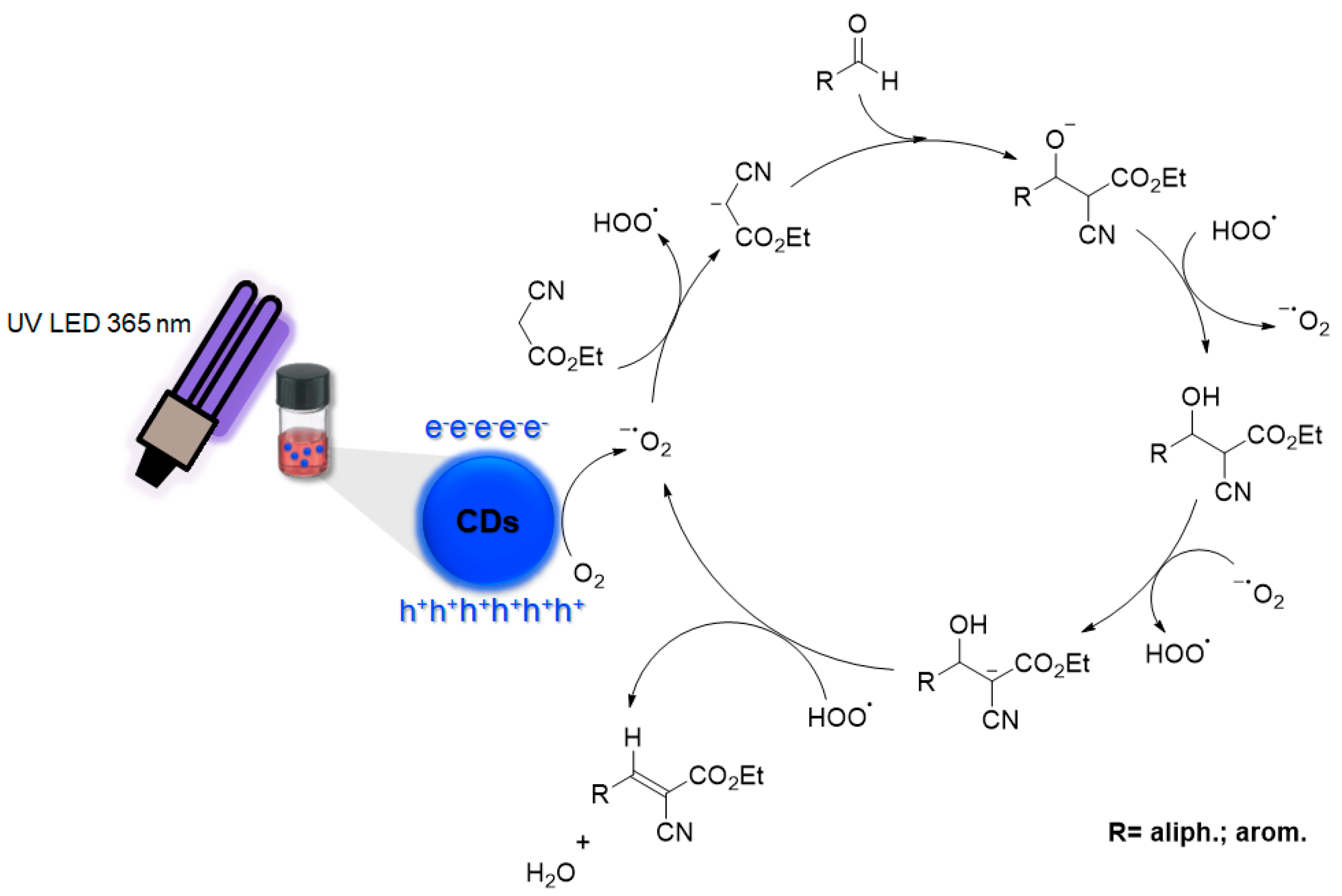 Photochem 04 00022 sch004