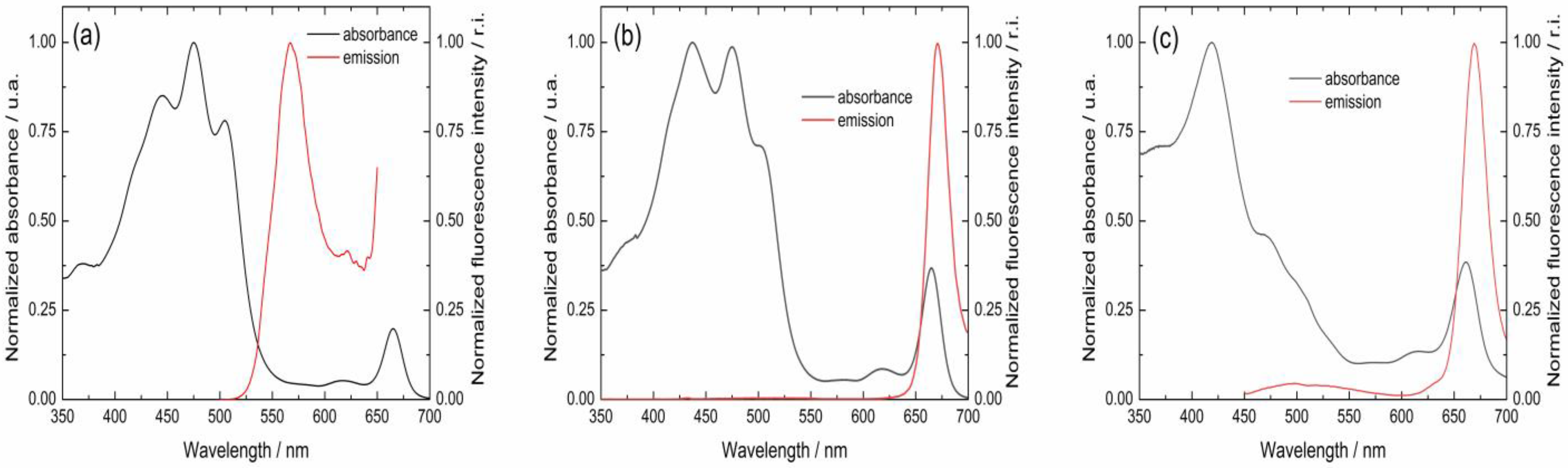 Photochem 04 00024 g006