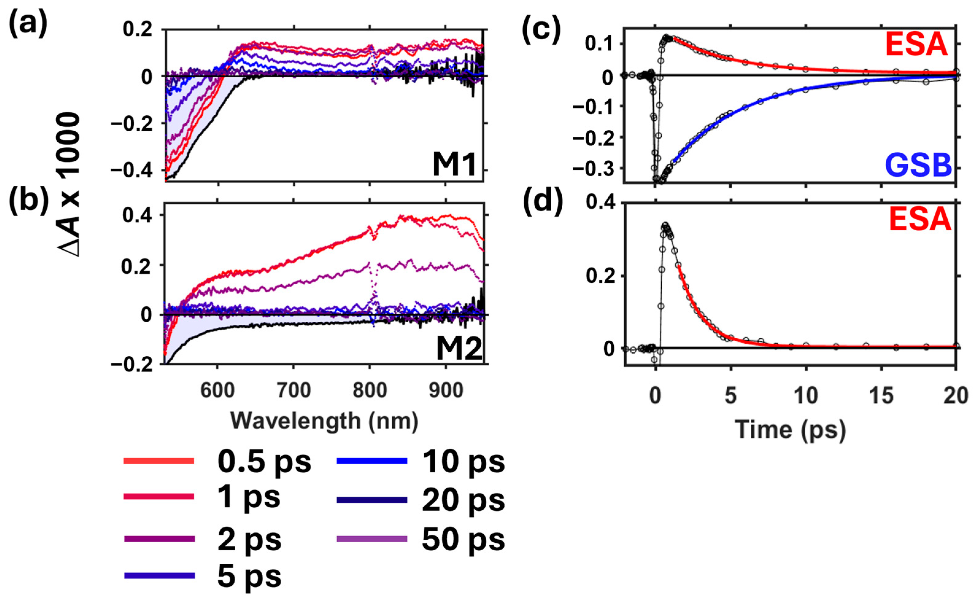 Photochem 04 00025 g004