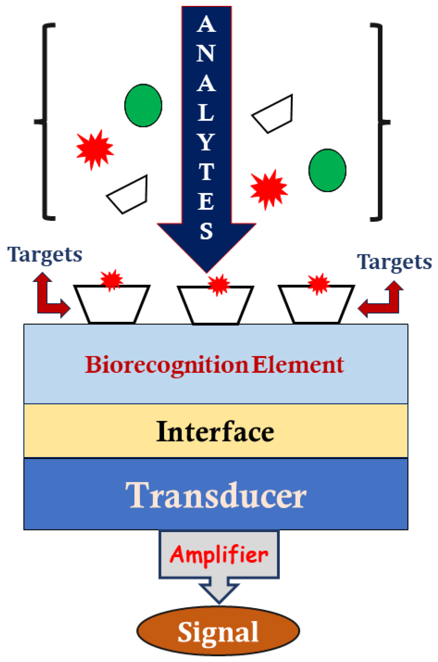 Photochem 05 00002 g001