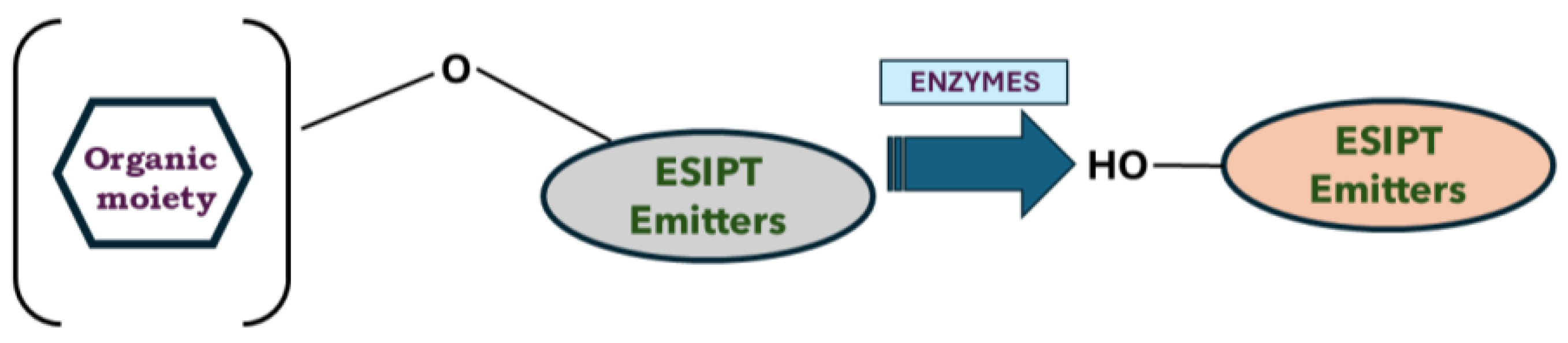 Photochem 05 00002 sch004