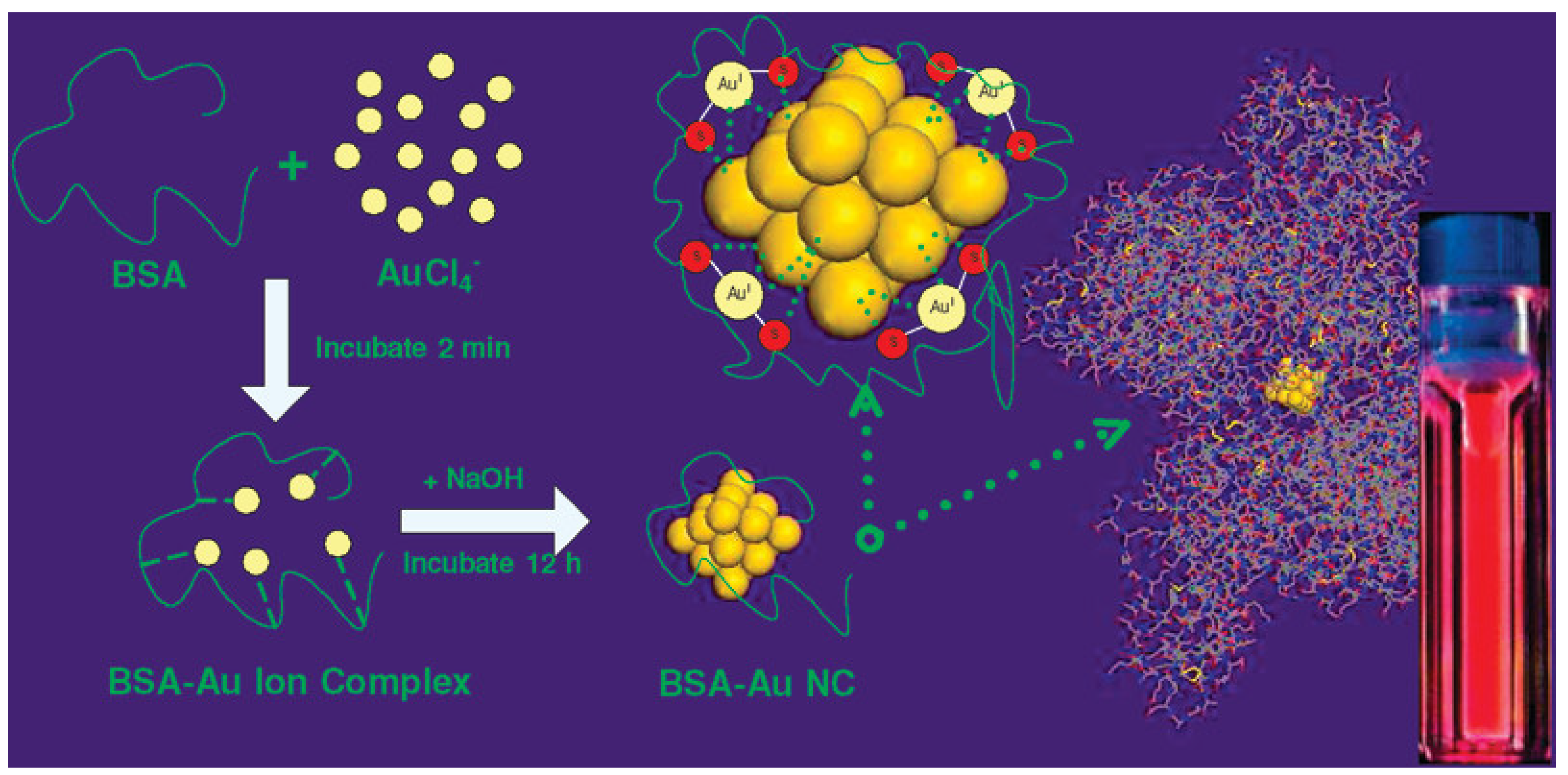 Photochem 05 00003 g001 Photochem 05 00003 g001
