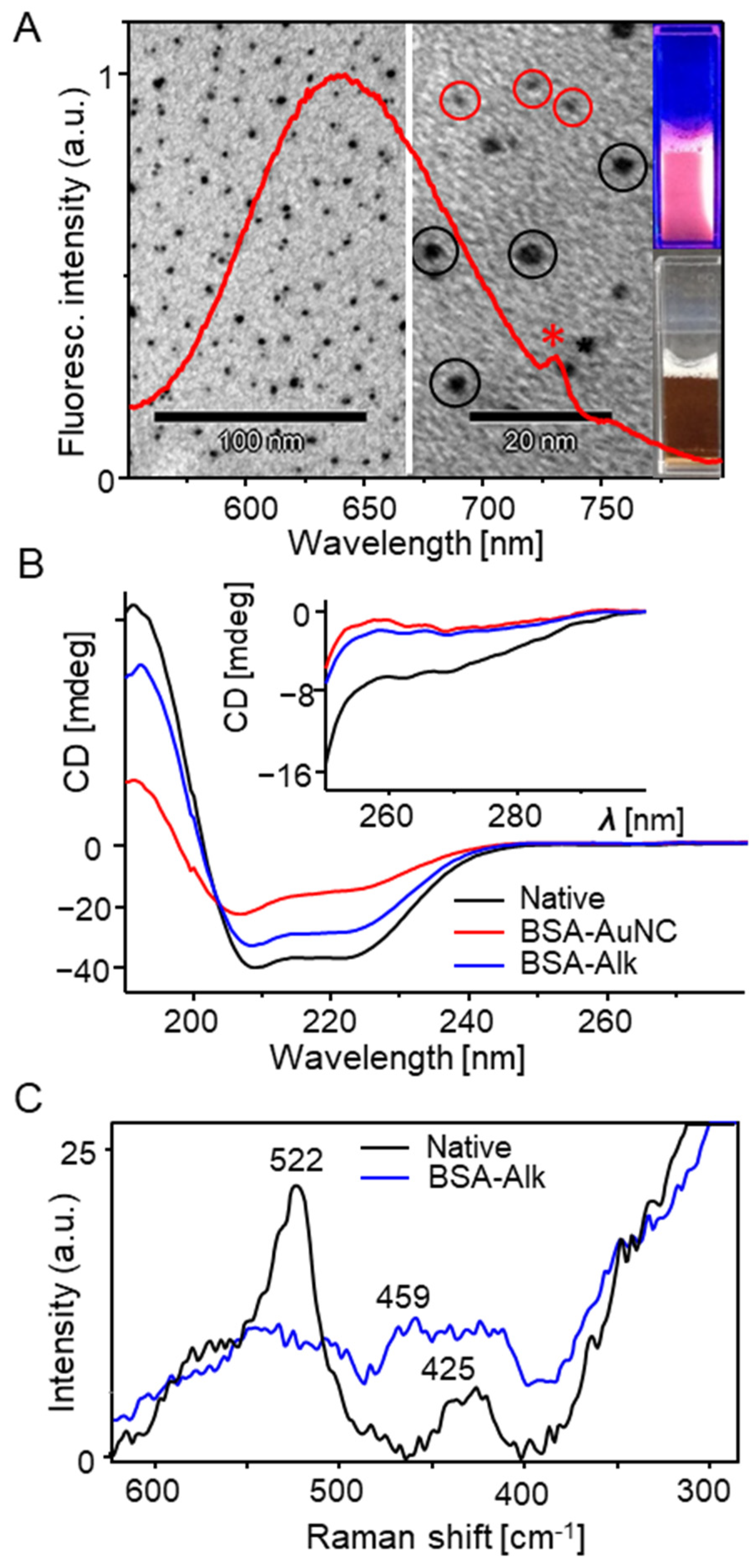 Photochem 05 00003 g002 Photochem 05 00003 g002