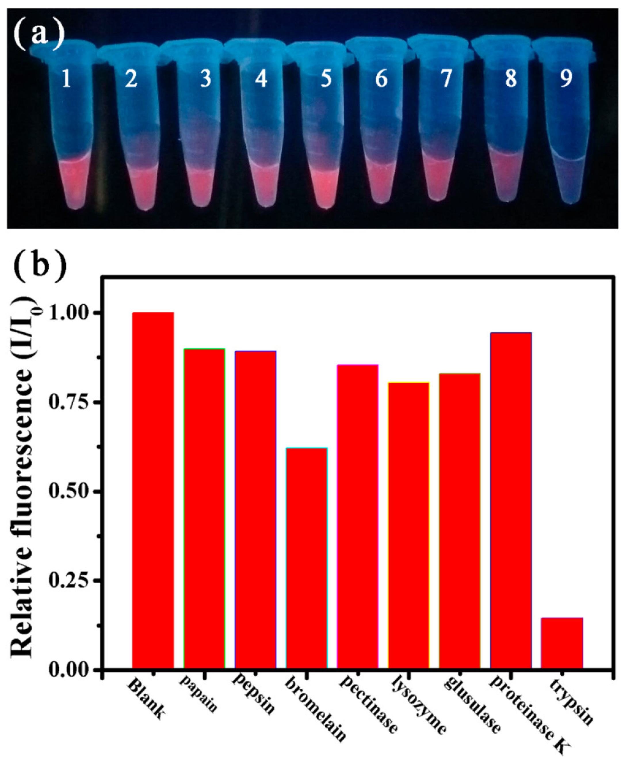 Photochem 05 00003 g008 Photochem 05 00003 g008