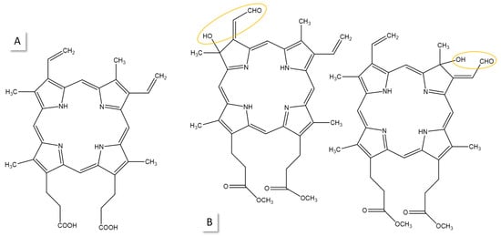 Photochem 05 00010 g002