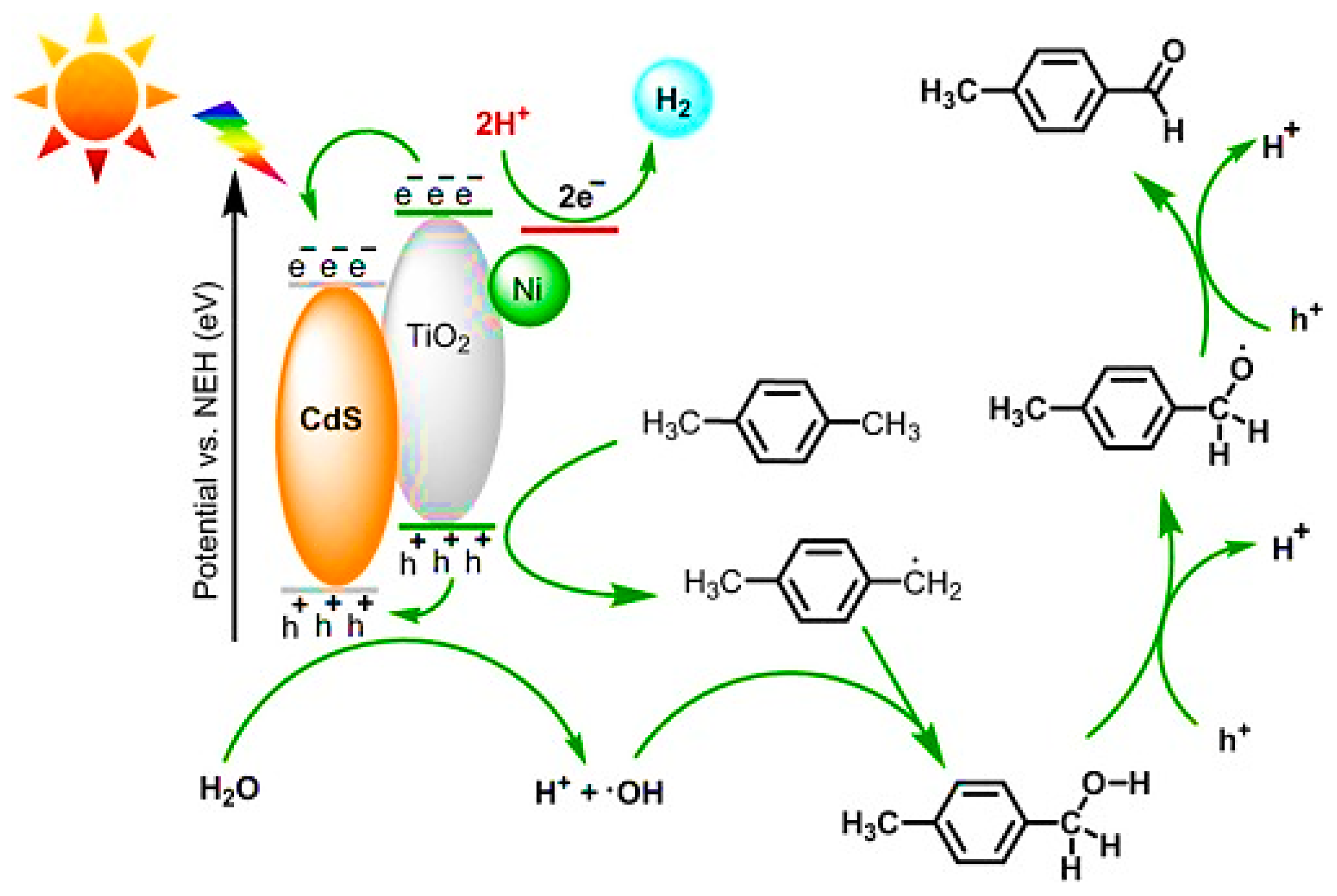 Photochem 05 00011 g009
