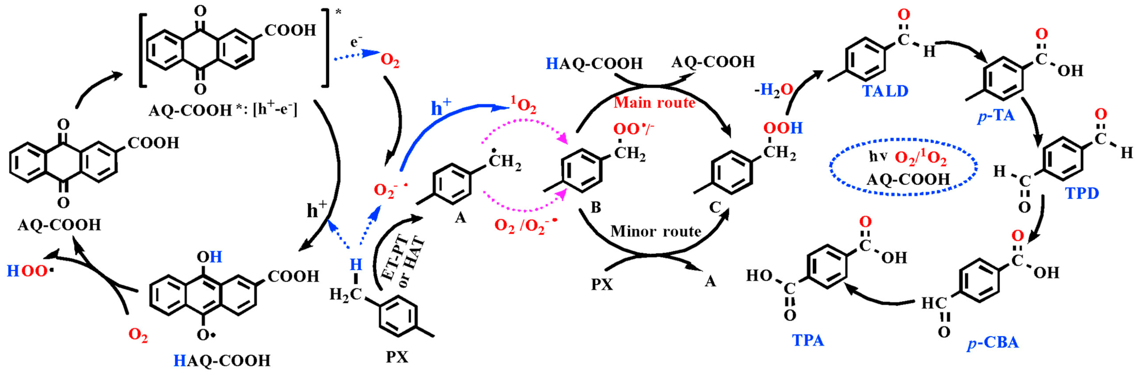 Photochem 05 00011 g010