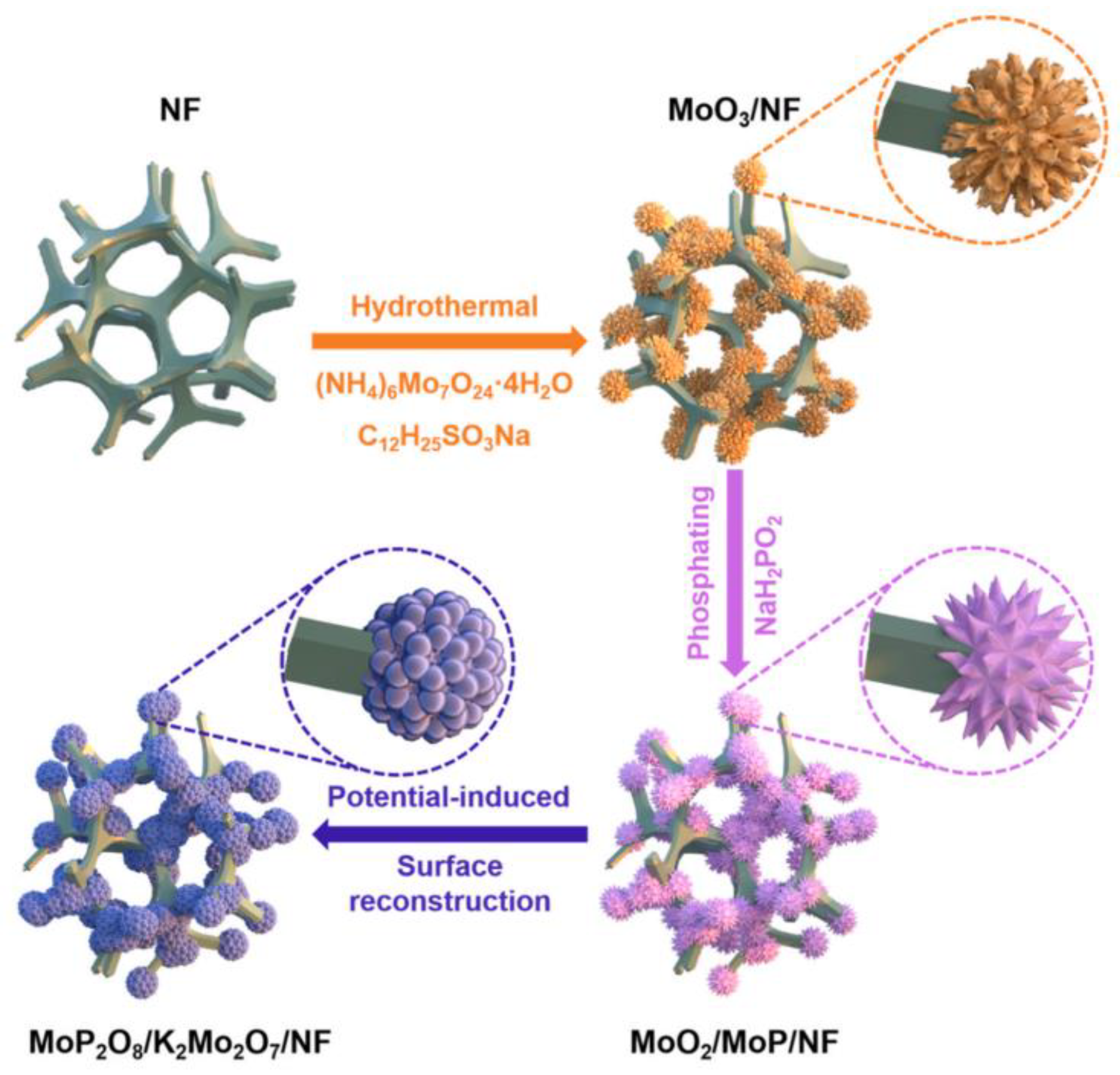 Photochem 05 00011 g012