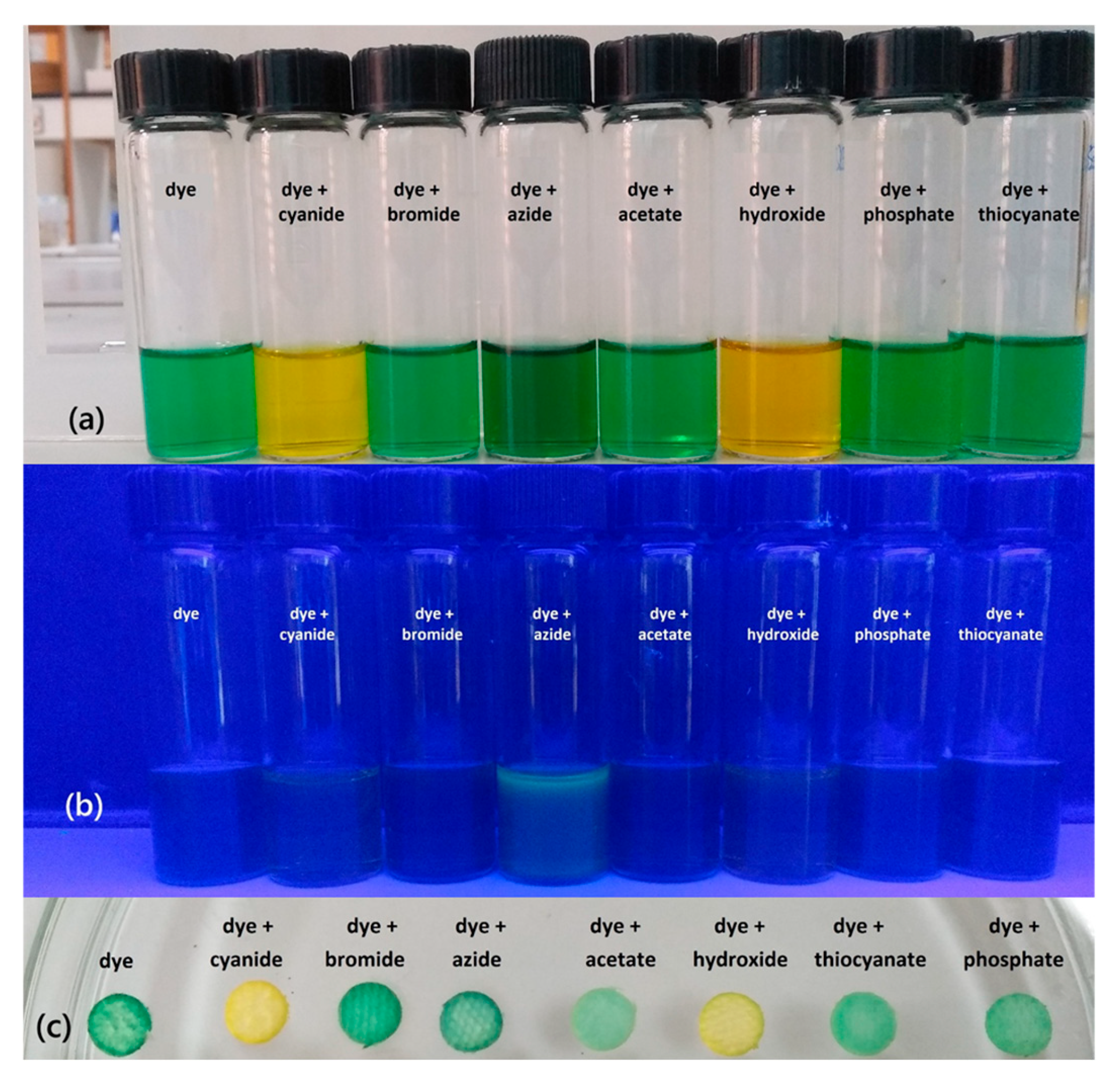 Photochem 05 00012 g001 Photochem 05 00012 g001