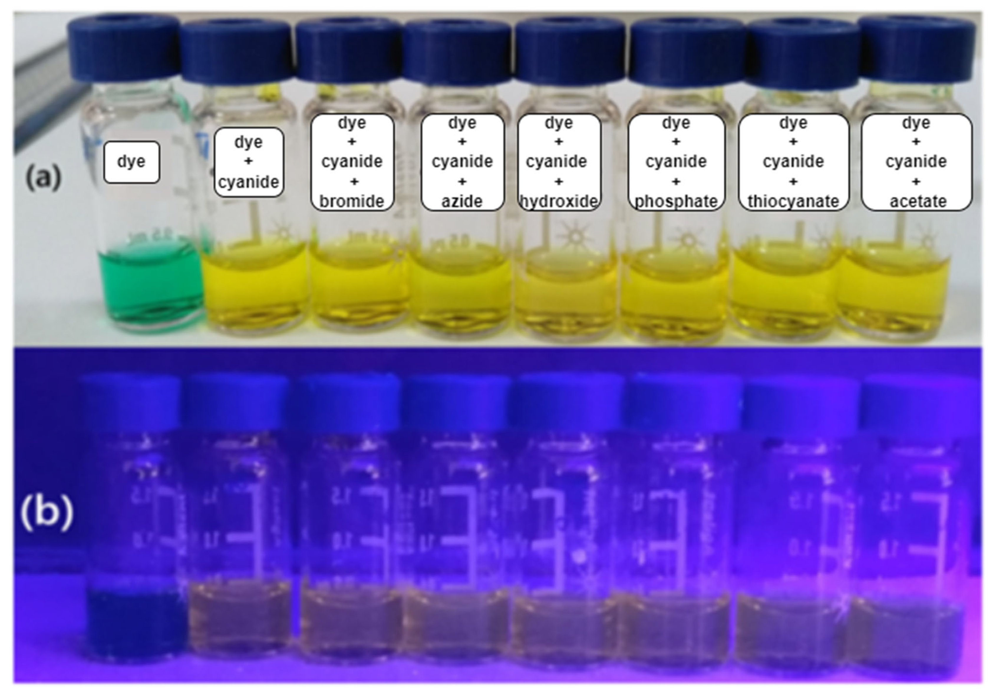 Photochem 05 00012 g008 Photochem 05 00012 g008