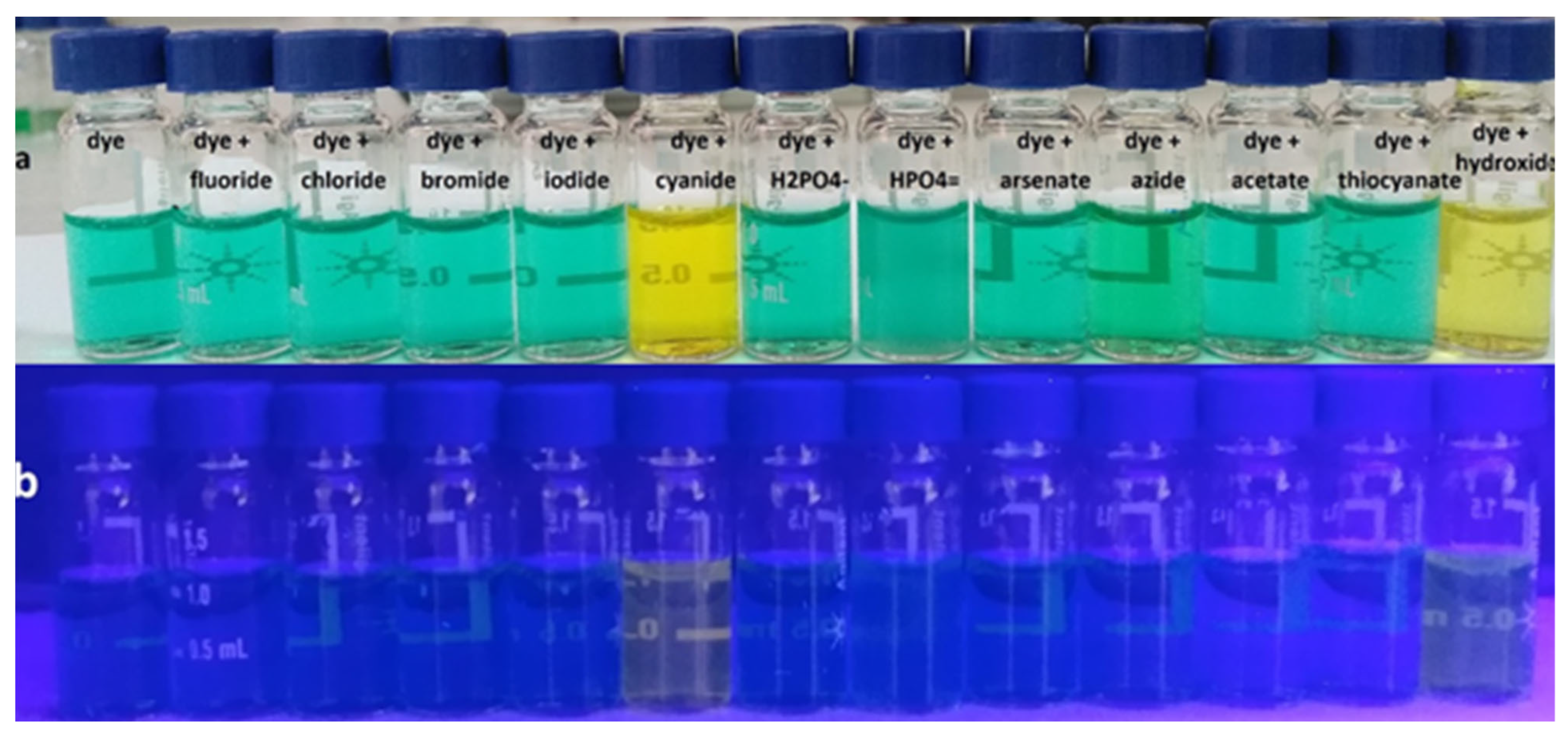 Photochem 05 00012 g009 Photochem 05 00012 g009
