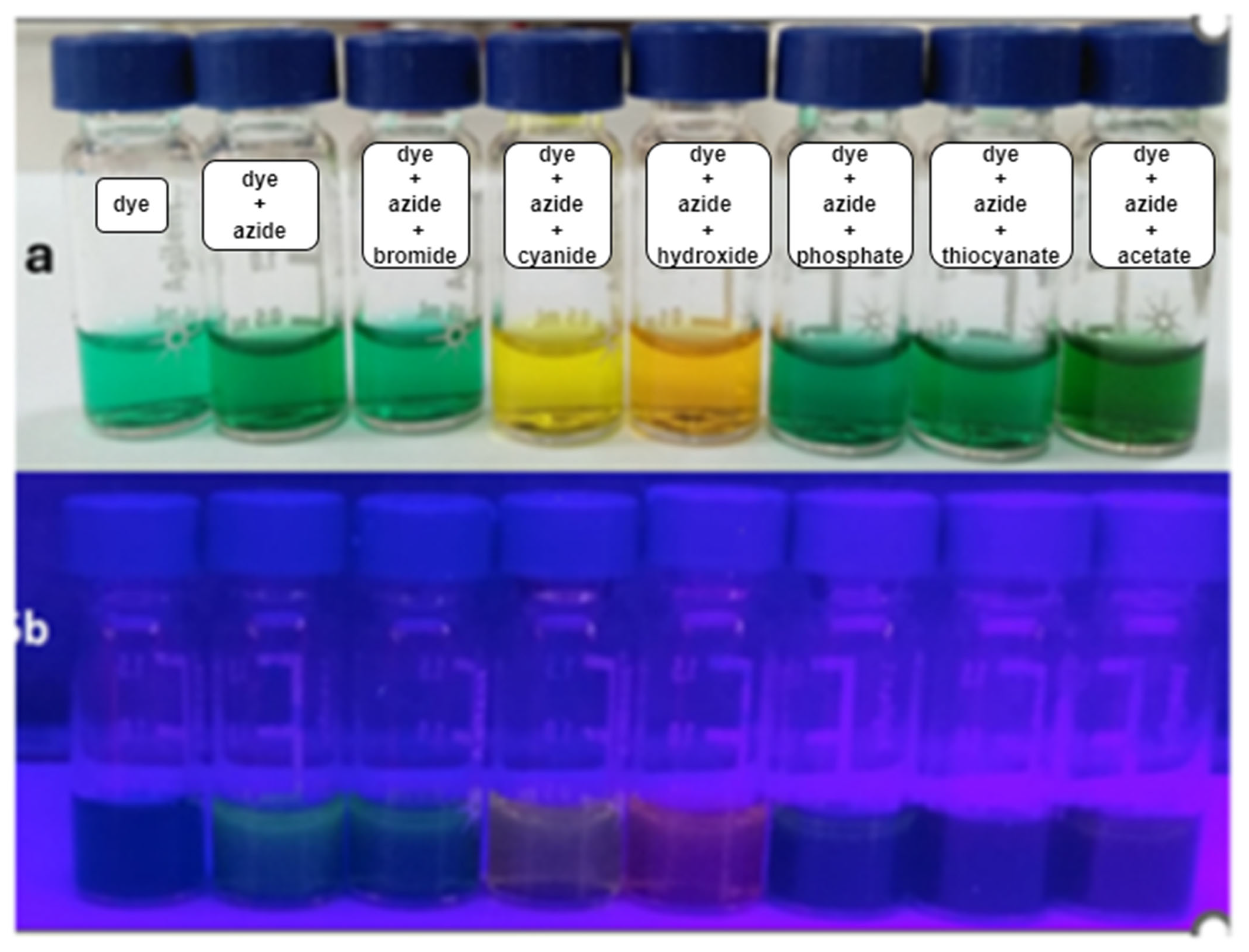 Photochem 05 00012 g015 Photochem 05 00012 g015