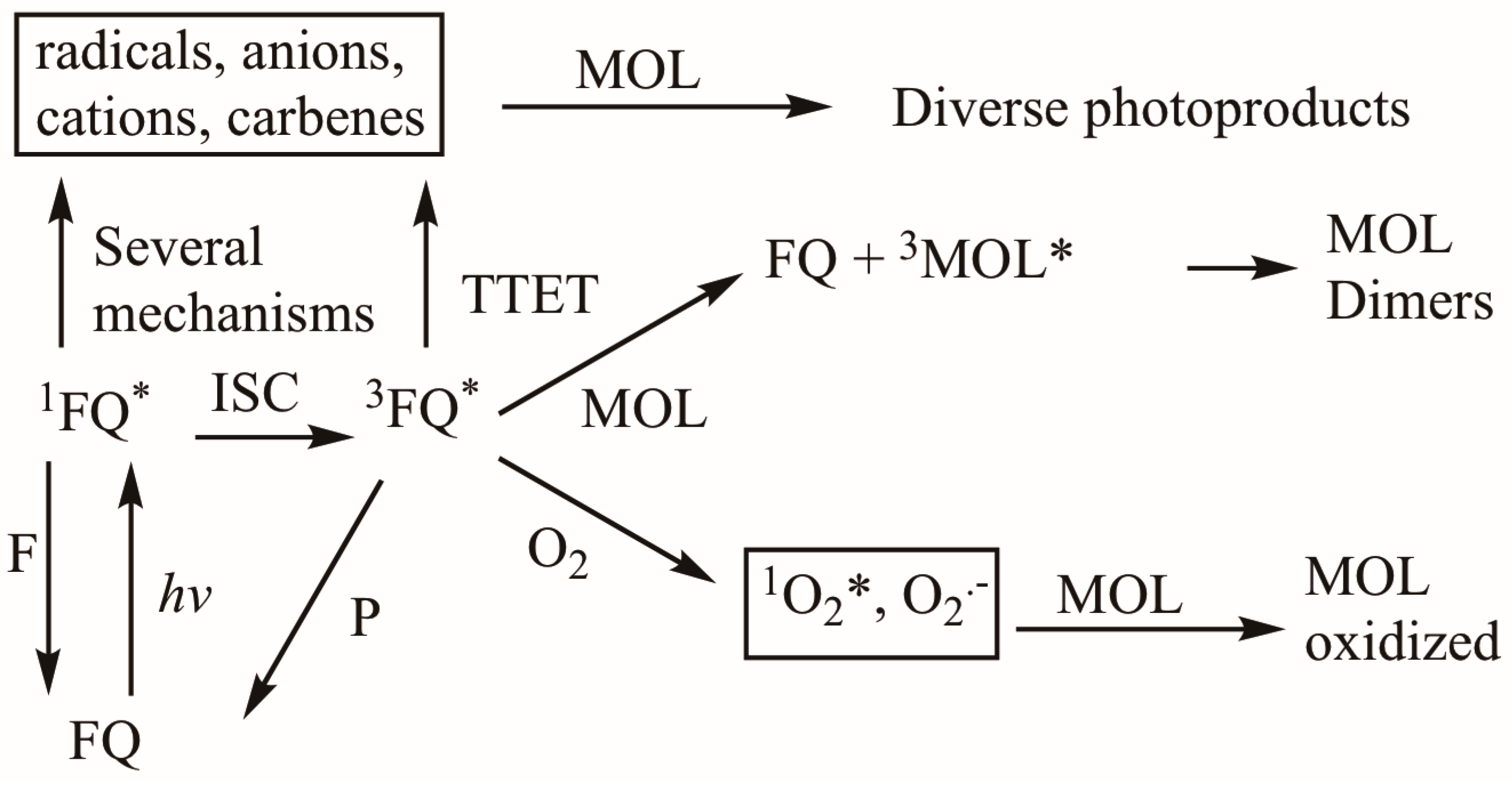Photochem 05 00017 sch004