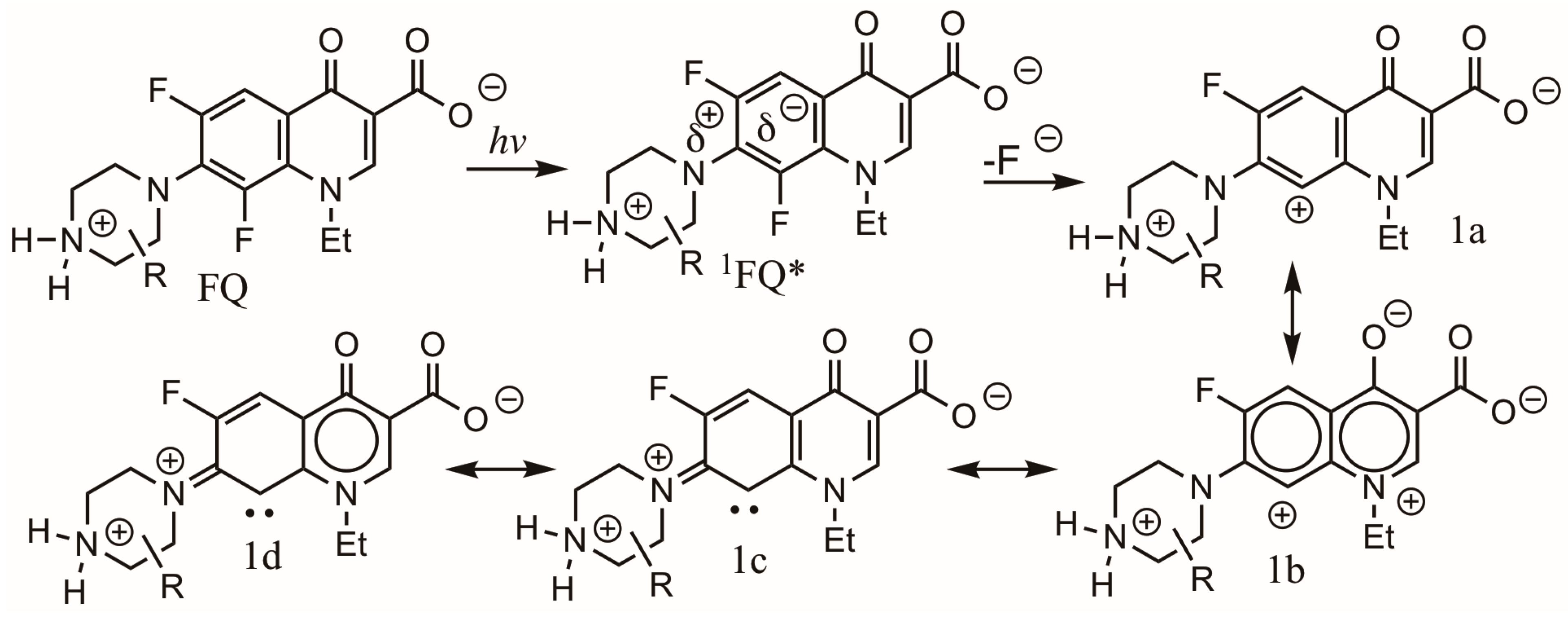 Photochem 05 00017 sch007