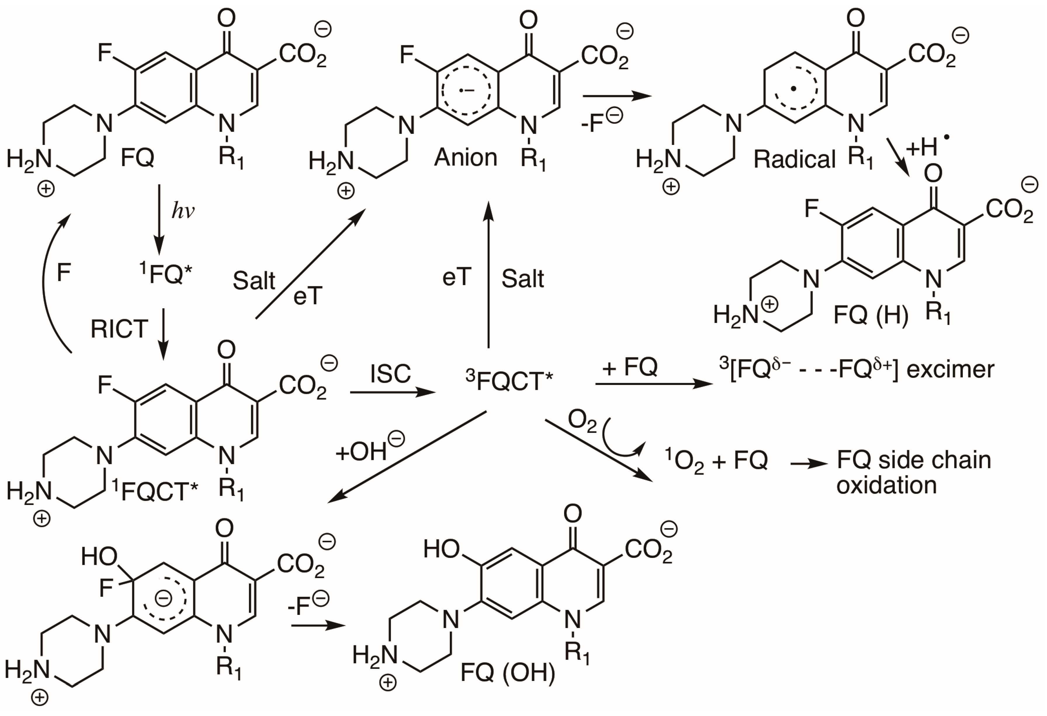 Photochem 05 00017 sch011