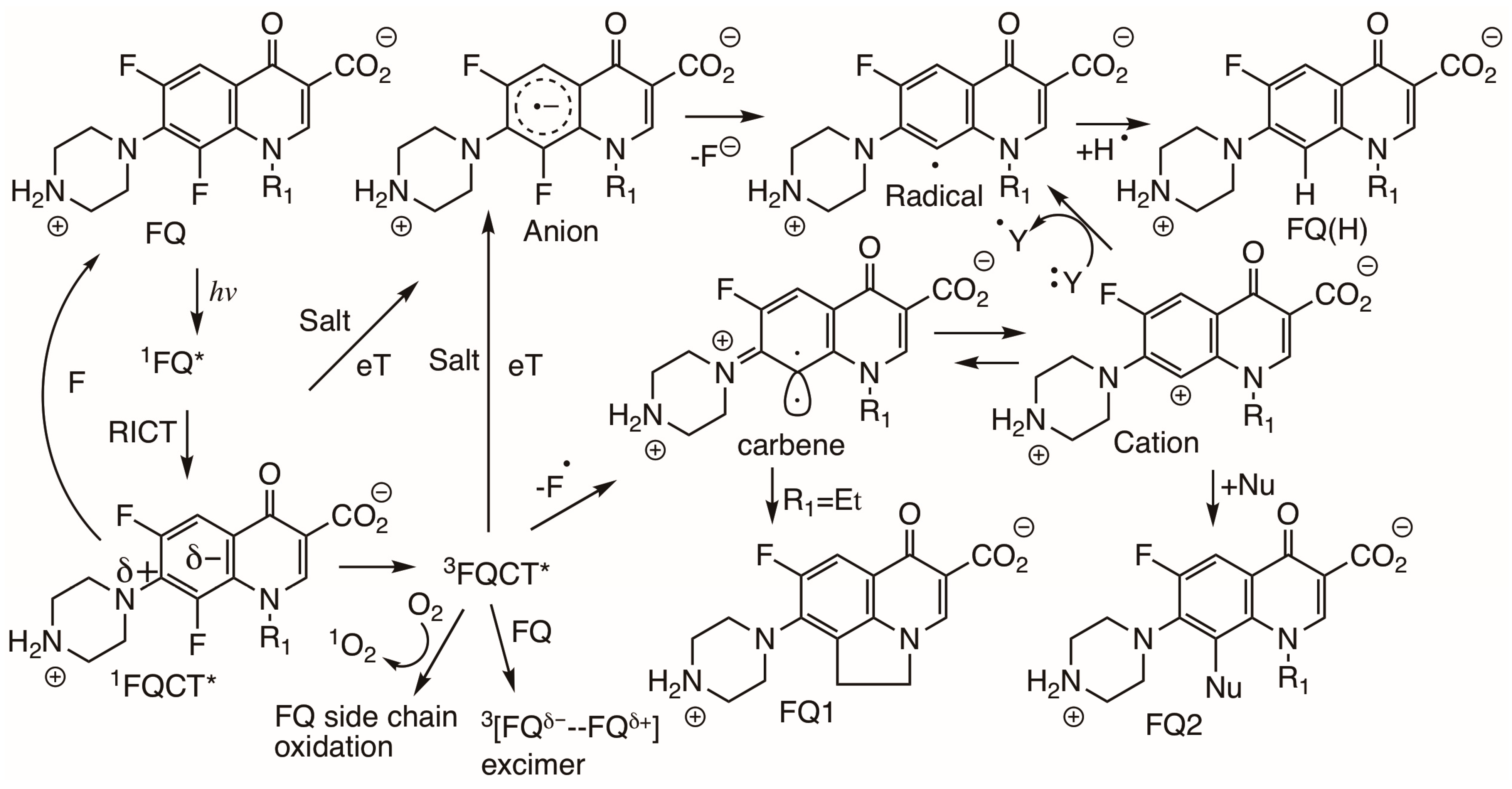 Photochem 05 00017 sch012