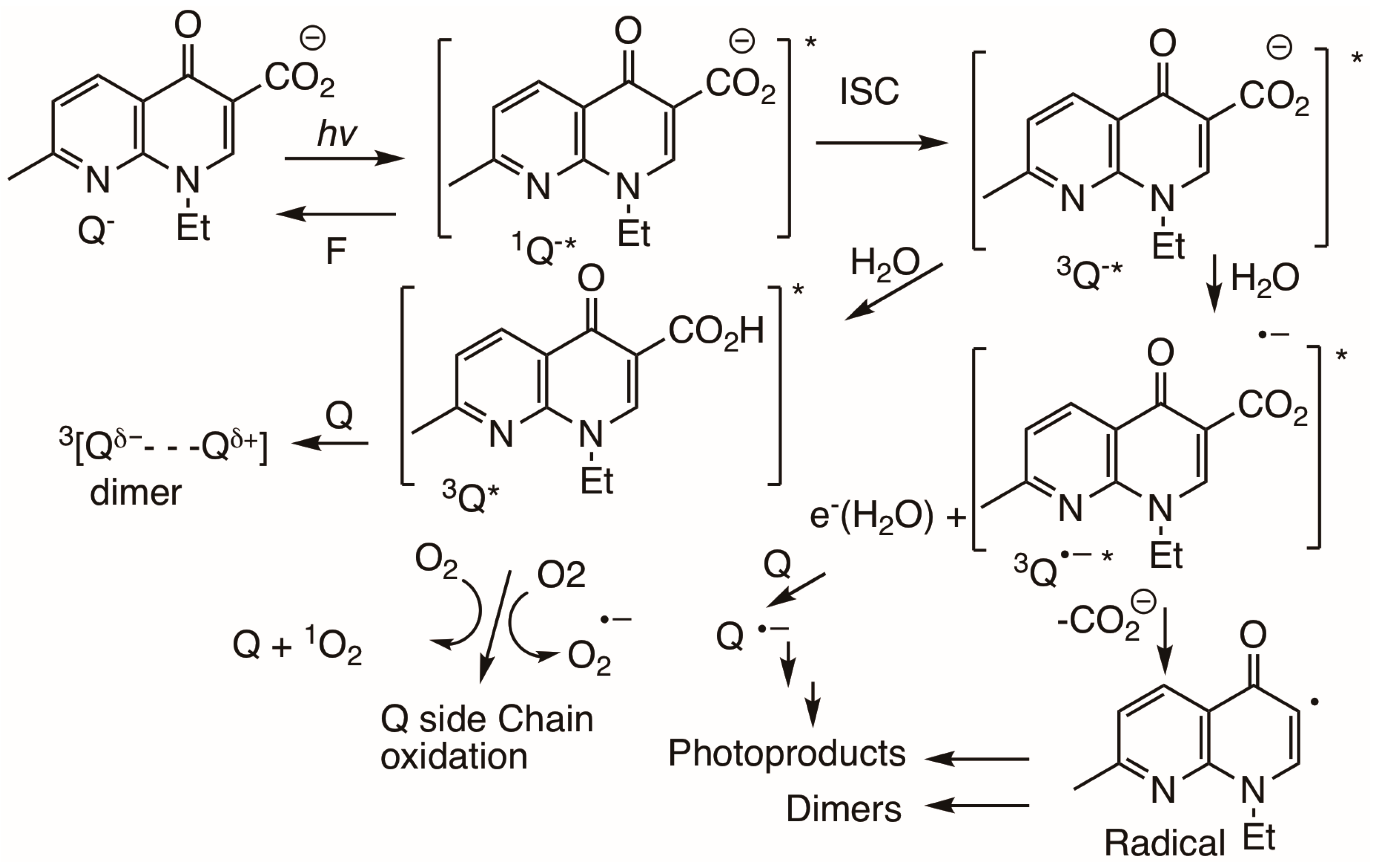 Photochem 05 00017 sch013