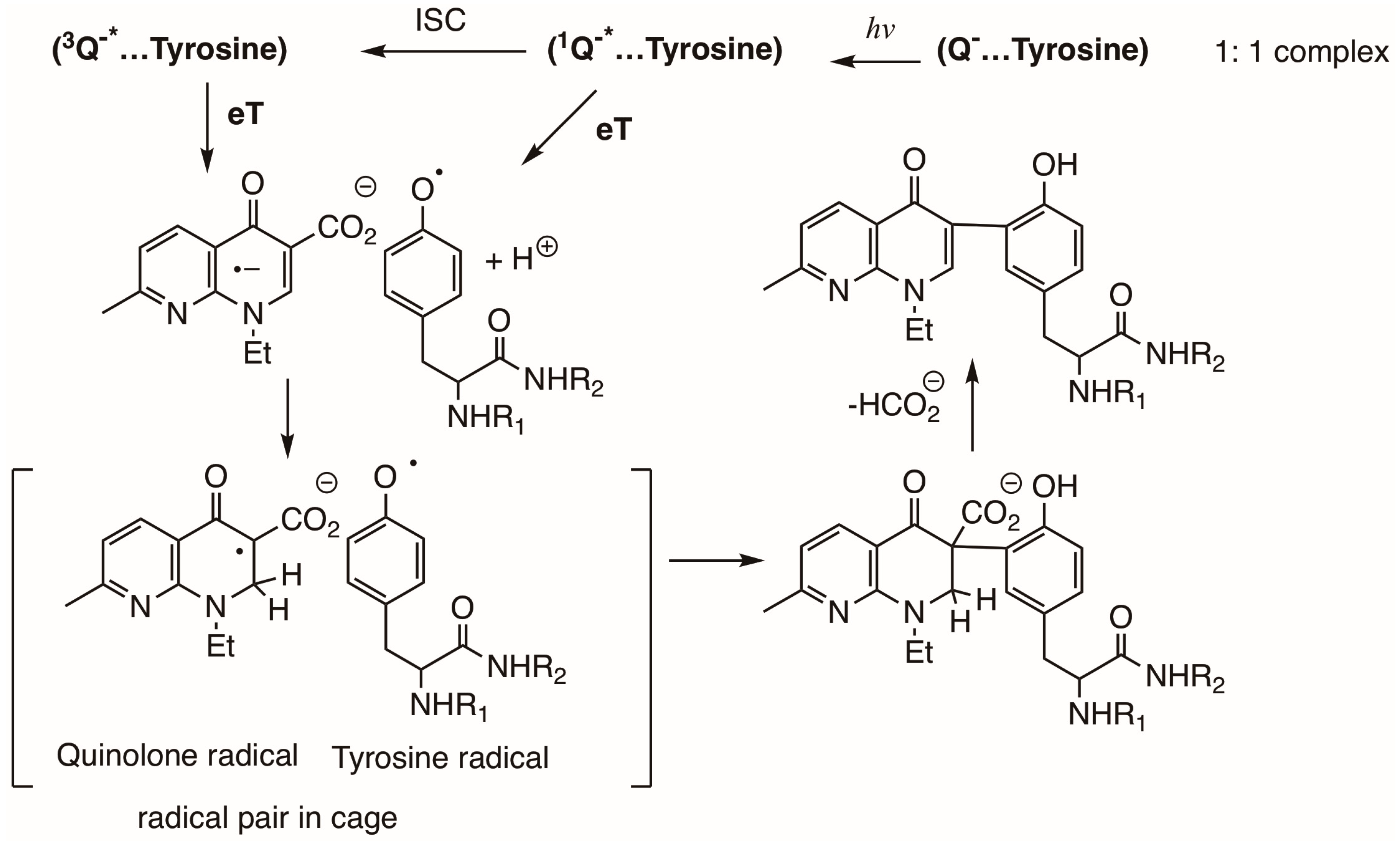 Photochem 05 00017 sch014
