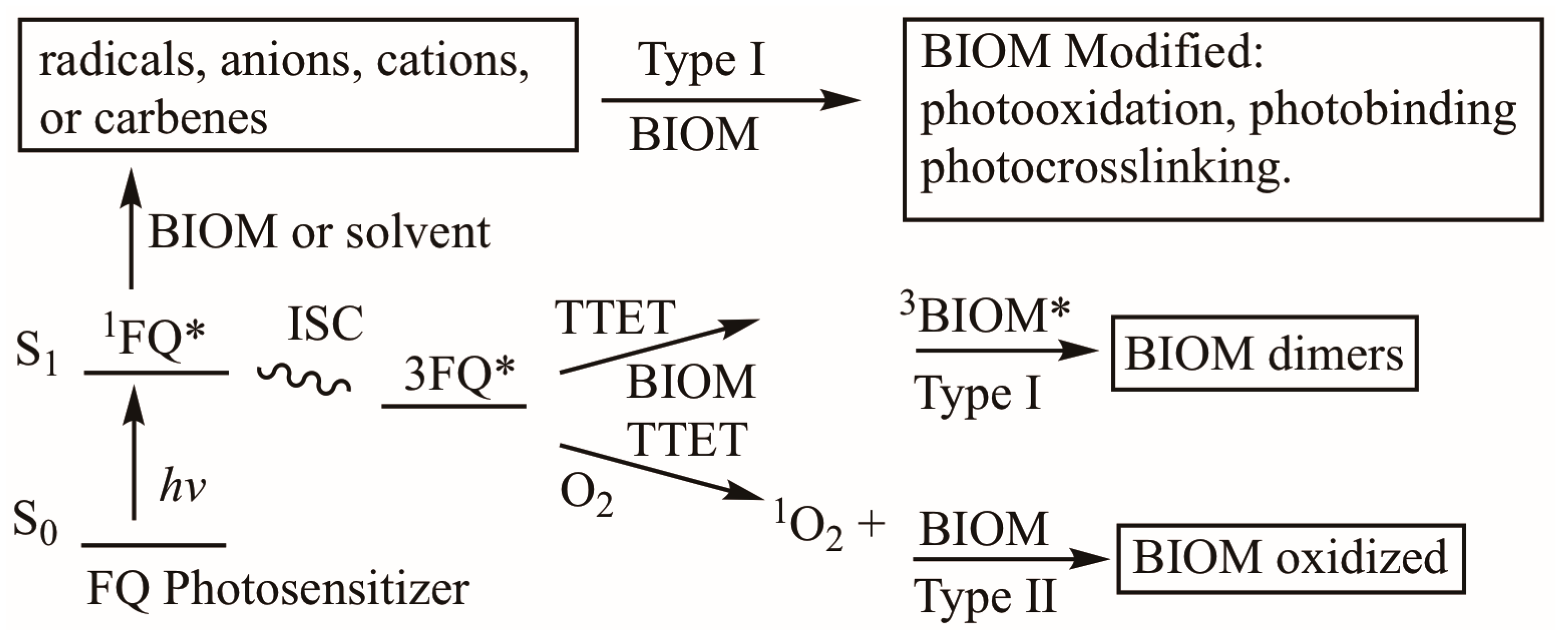 Photochem 05 00017 sch015