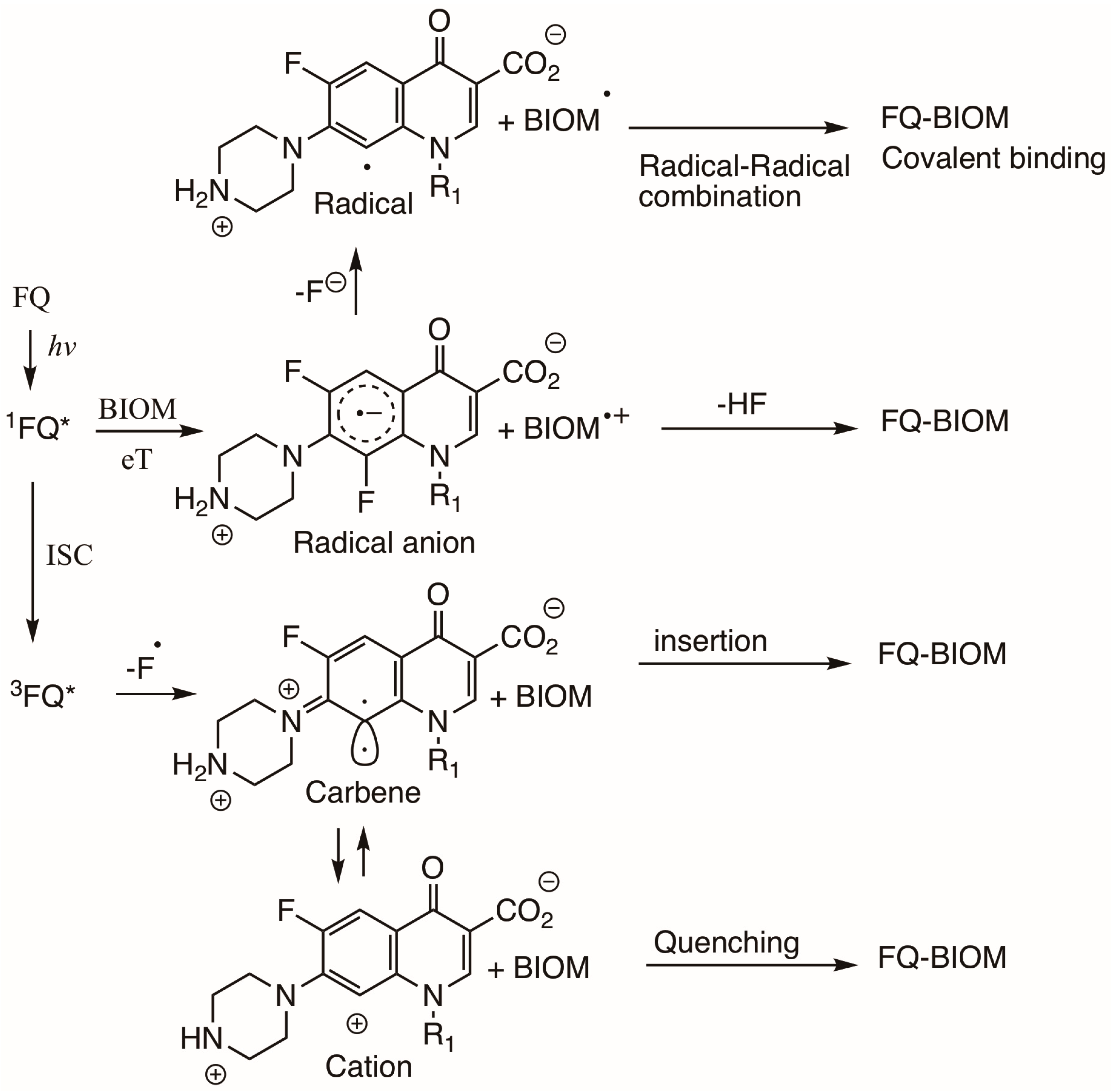 Photochem 05 00017 sch016