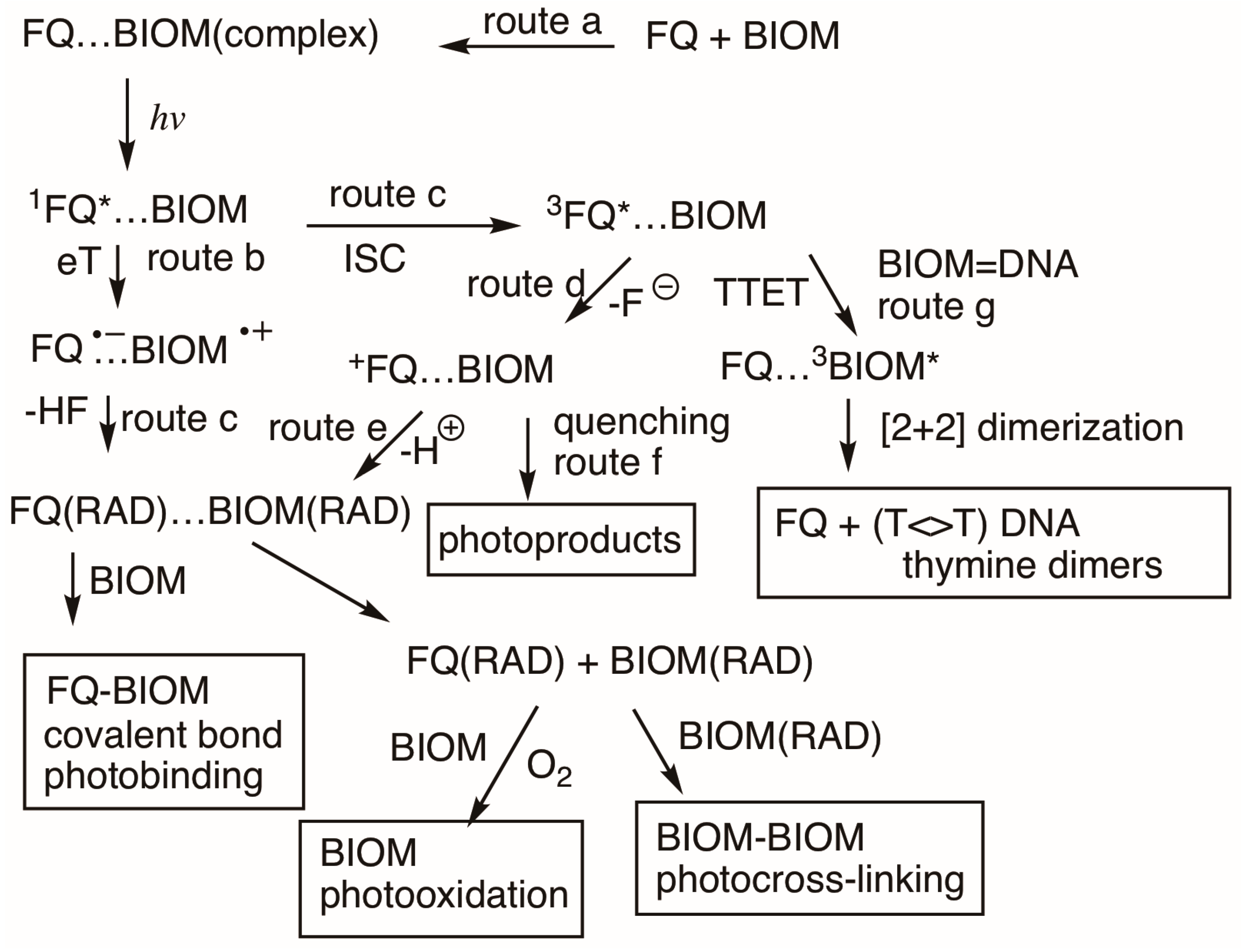 Photochem 05 00017 sch017