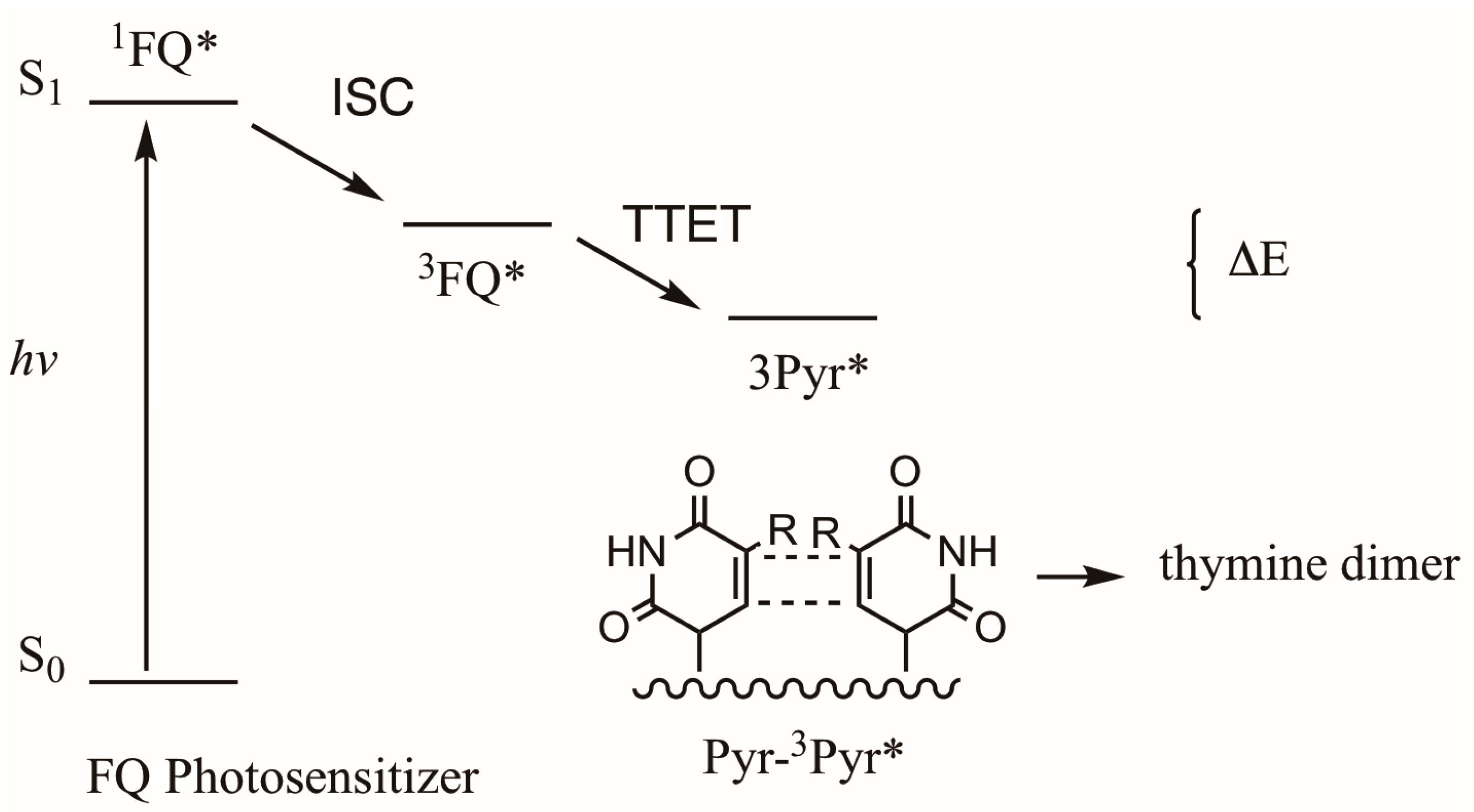 Photochem 05 00017 sch018