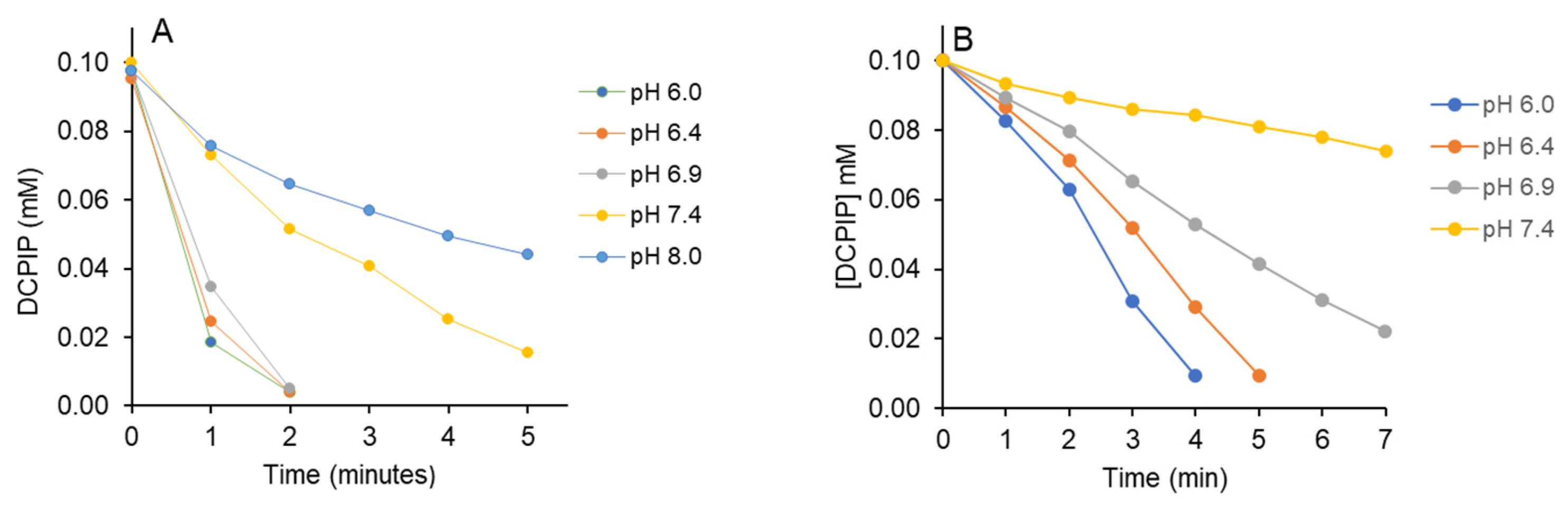 Photochem 05 00019 g002