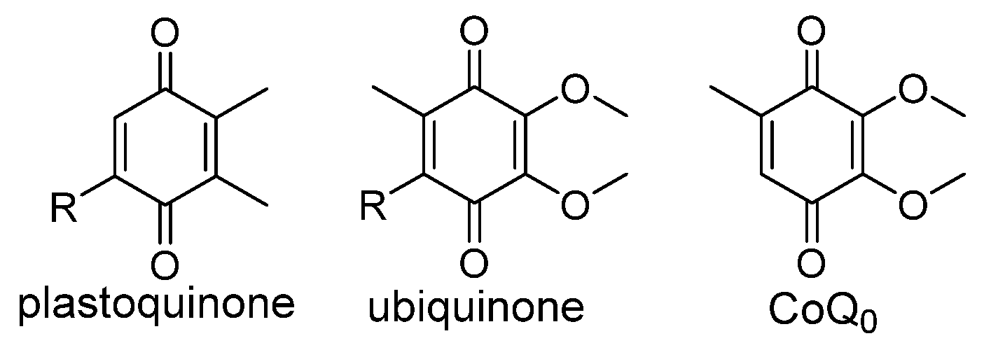 Photochem 05 00019 sch001