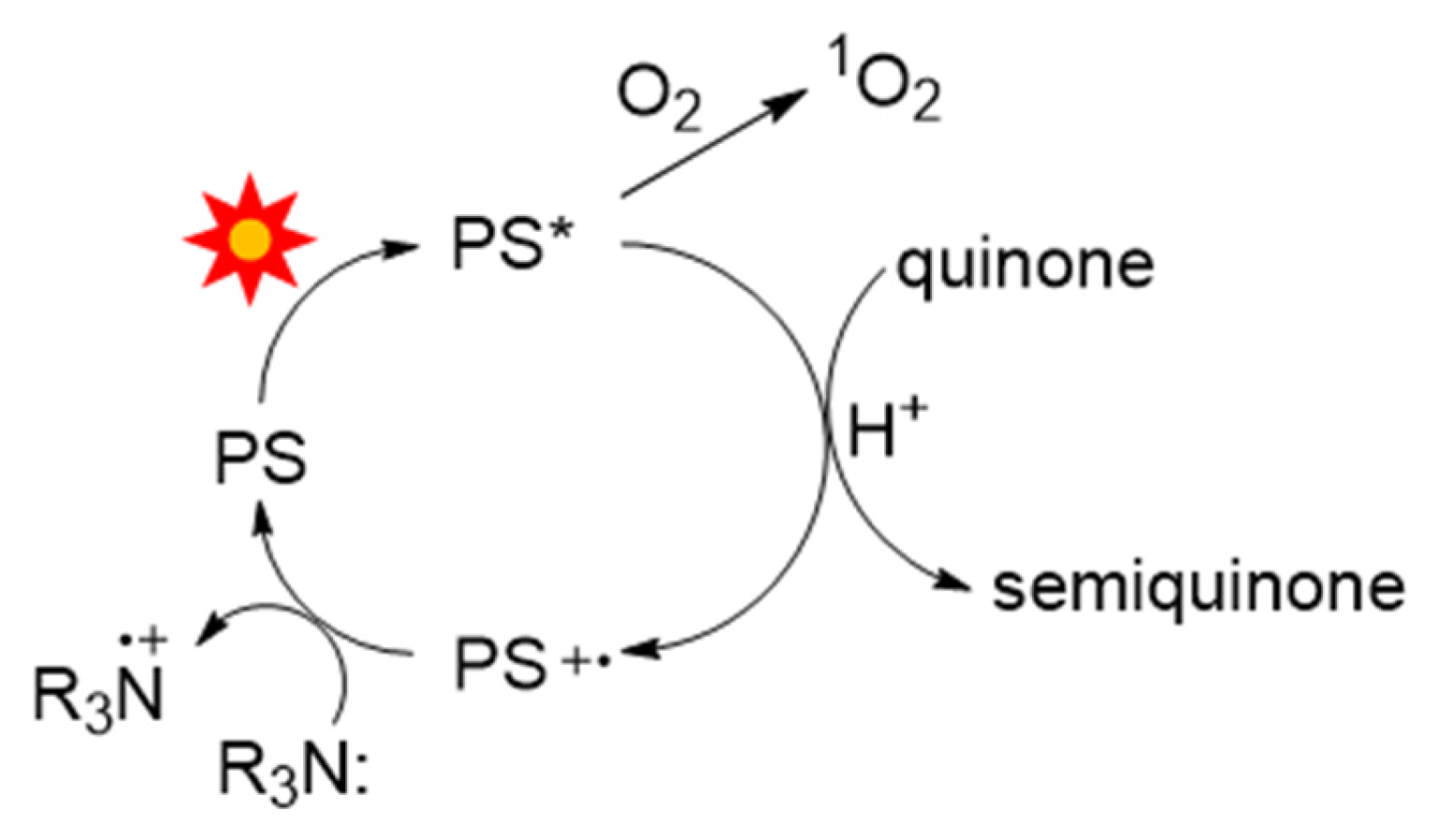 Photochem 05 00019 sch004