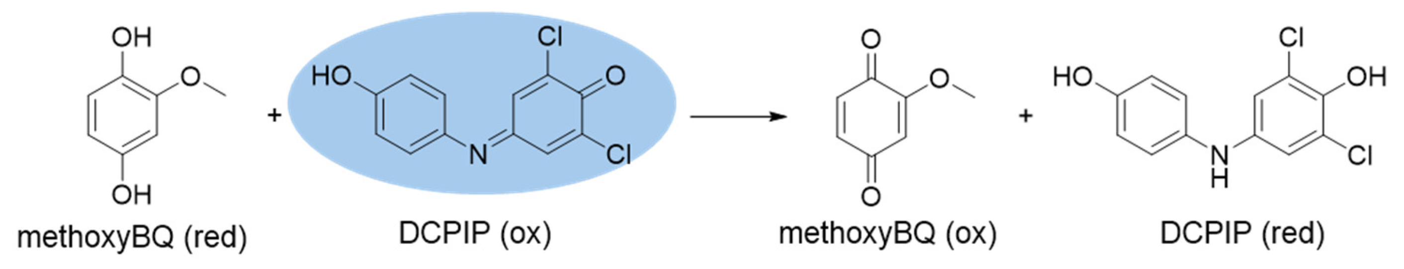 Photochem 05 00019 sch005