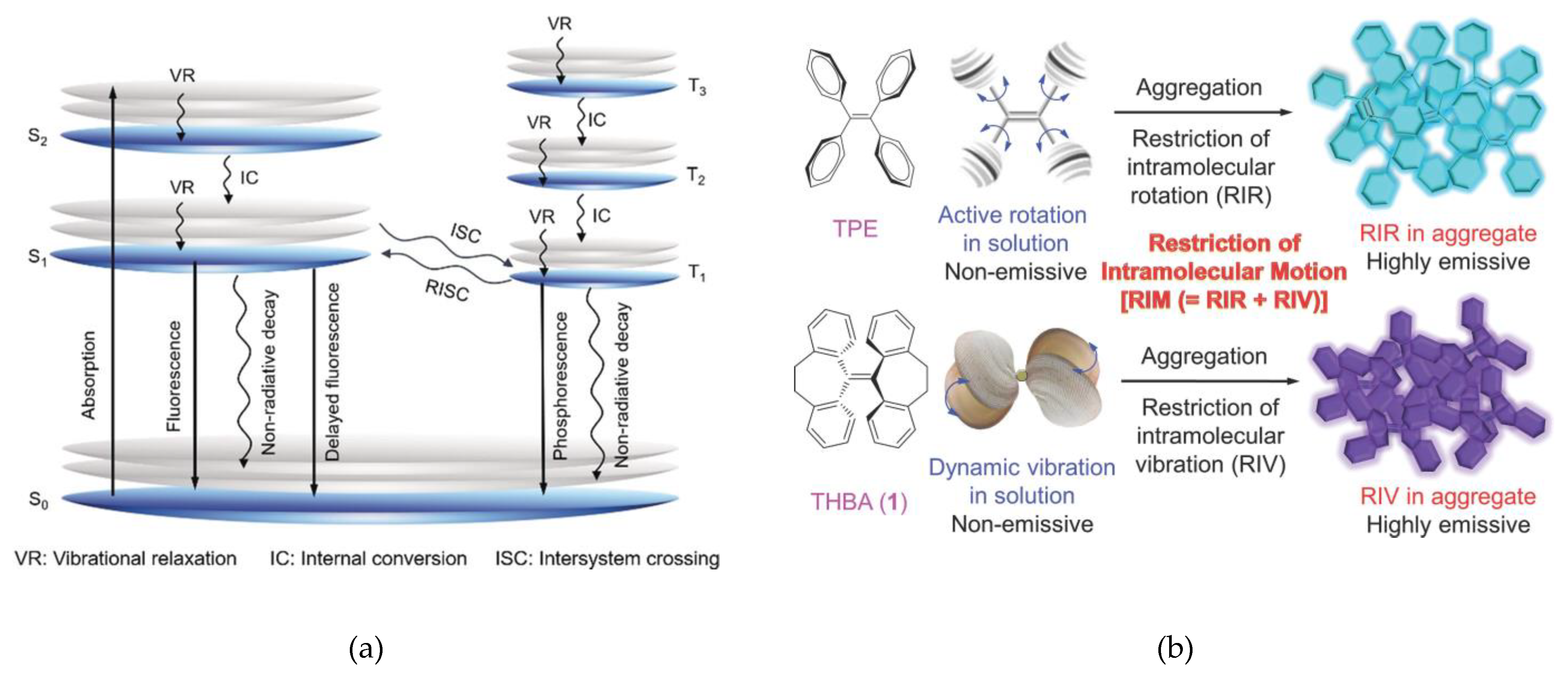 Photochem 05 00023 g001