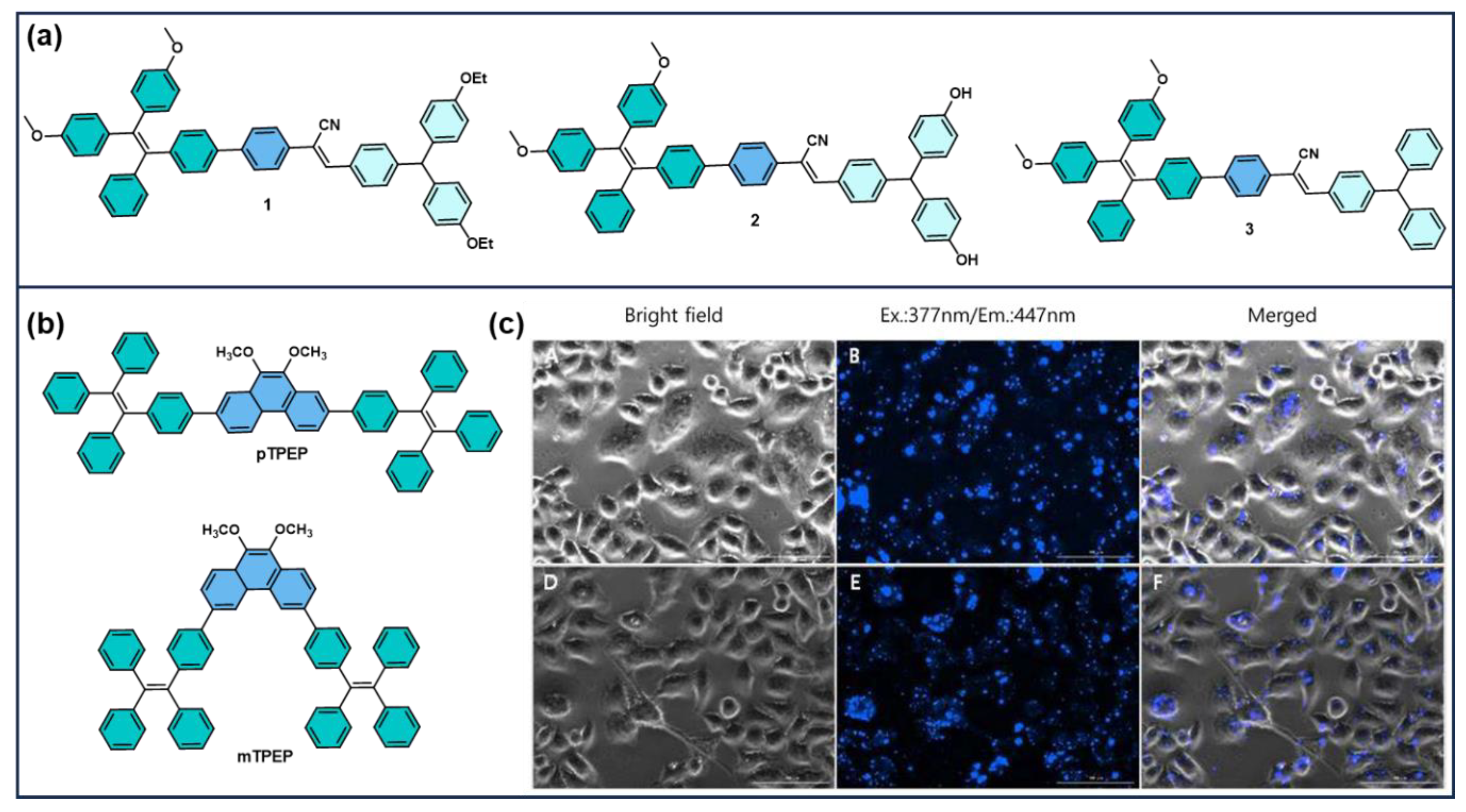 Photochem 05 00023 g002