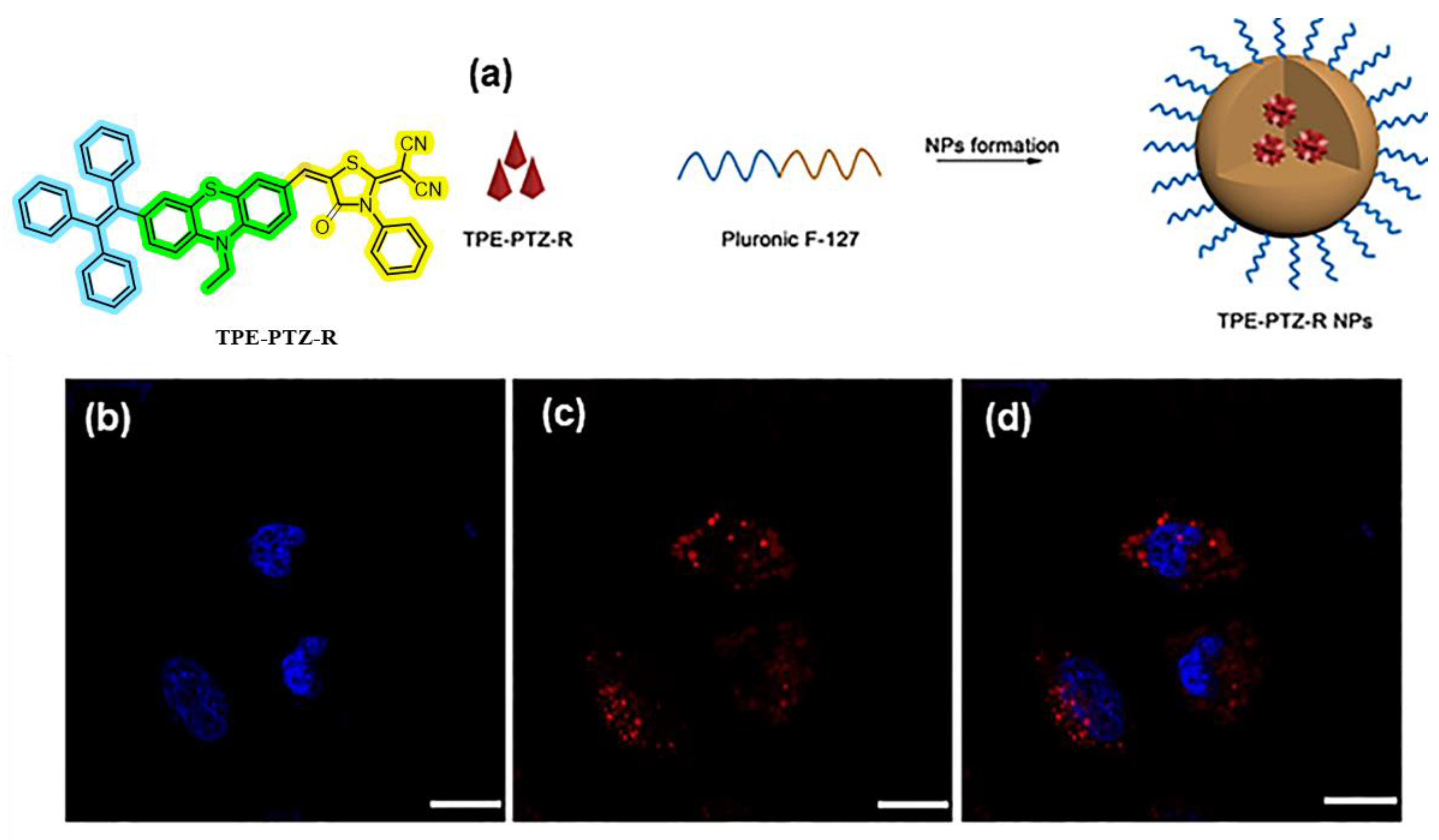 Photochem 05 00023 g003