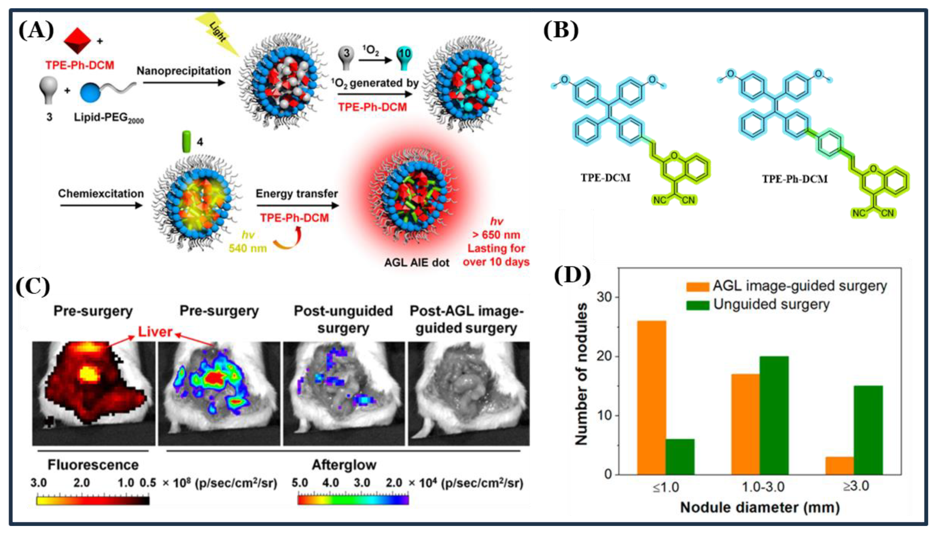 Photochem 05 00023 g006