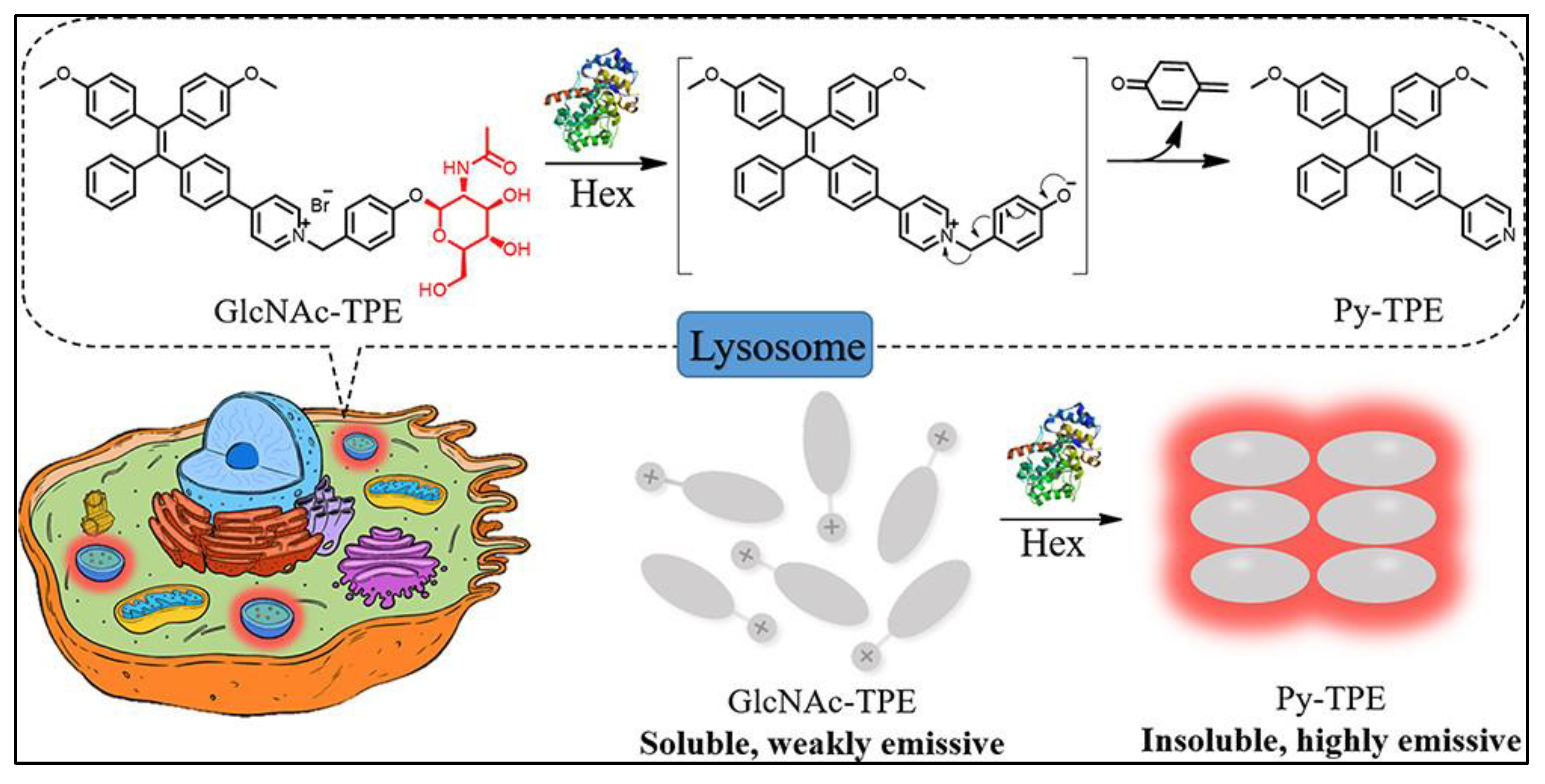 Photochem 05 00023 g009