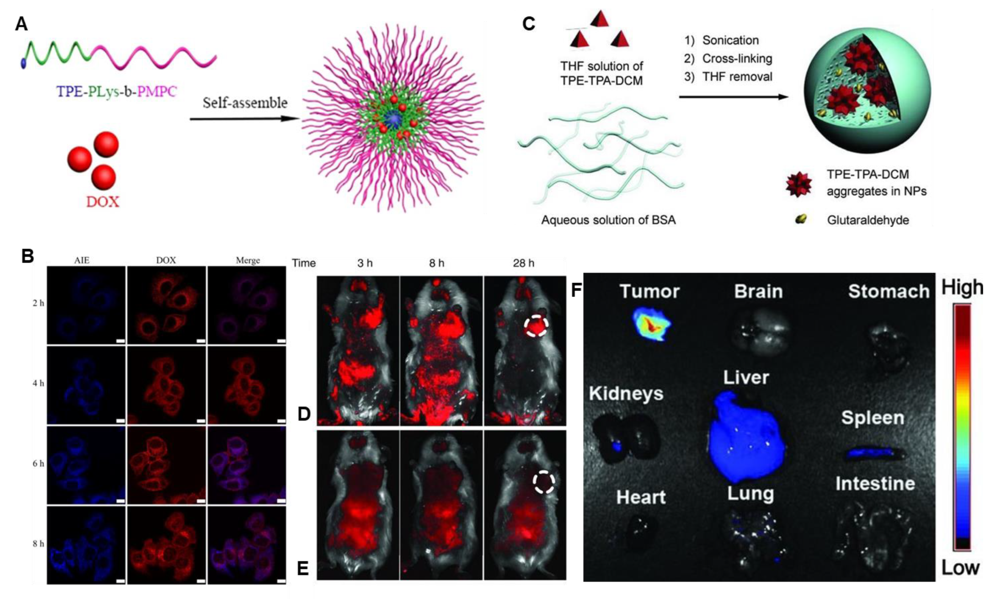 Photochem 05 00023 g010