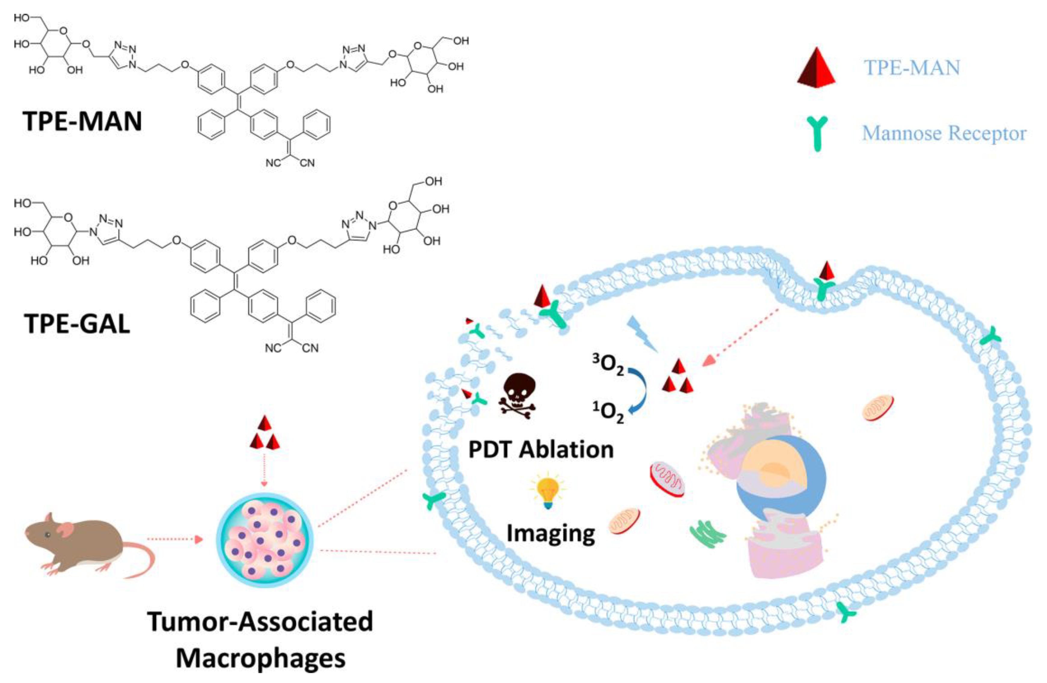 Photochem 05 00023 g012
