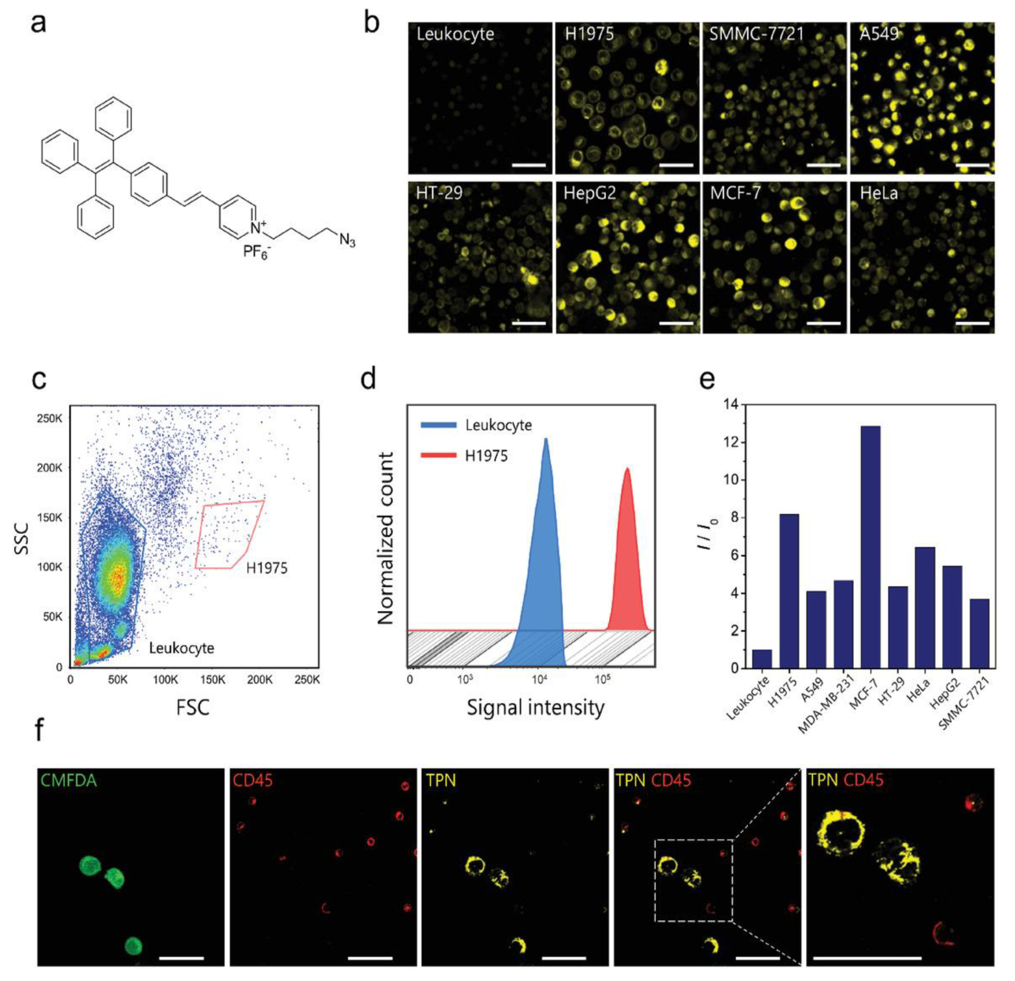 Photochem 05 00023 g013