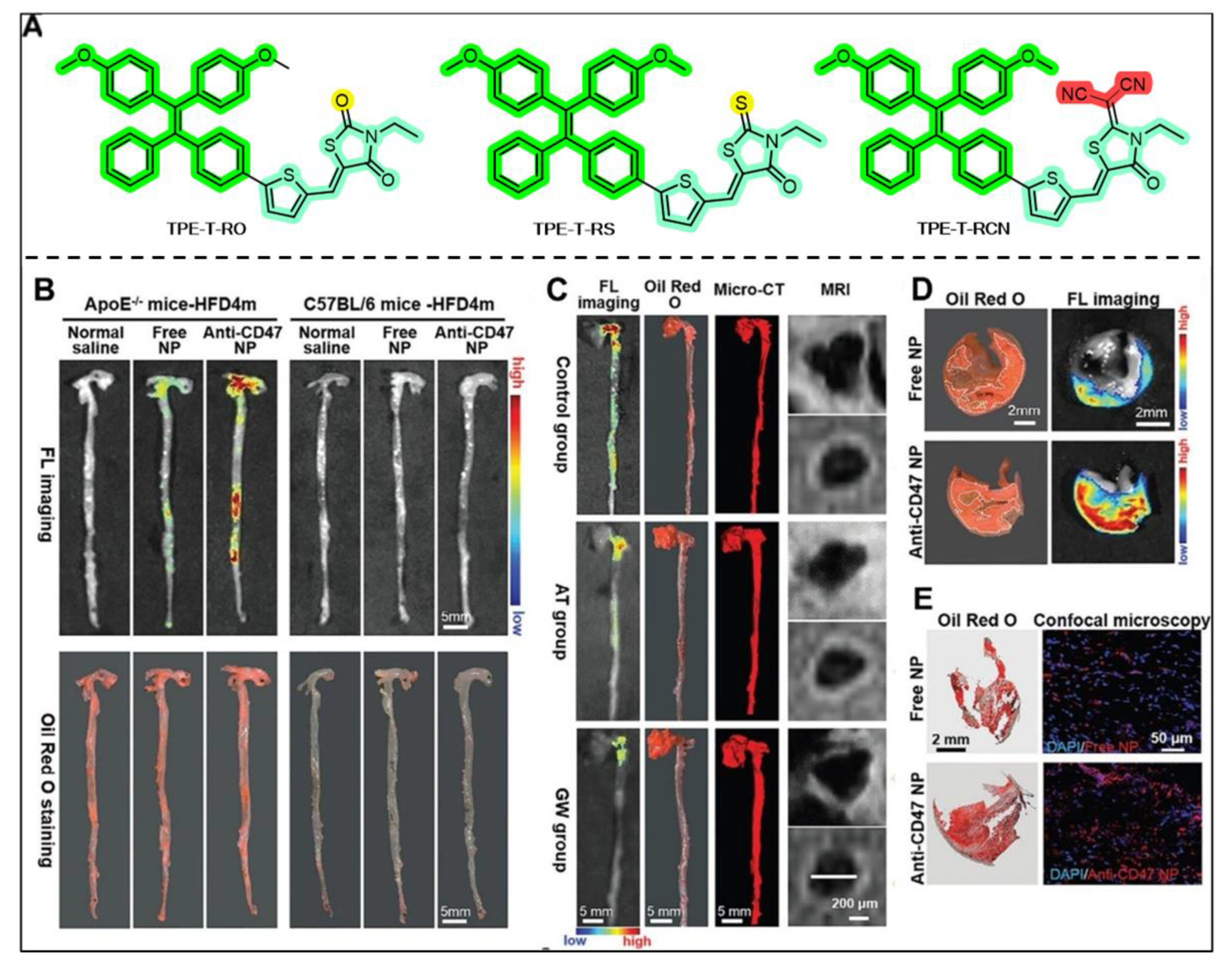 Photochem 05 00023 g014