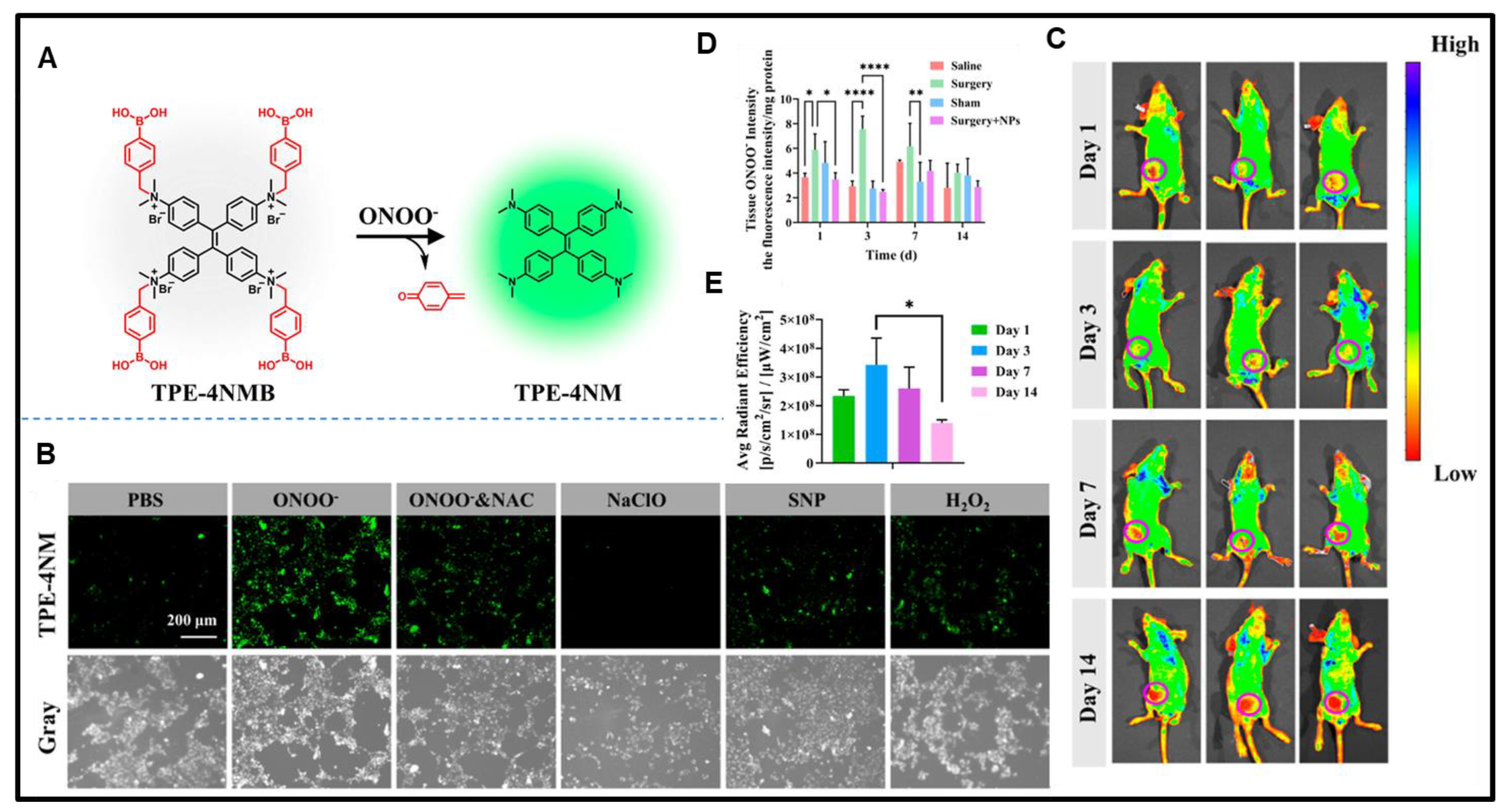 Photochem 05 00023 g016
