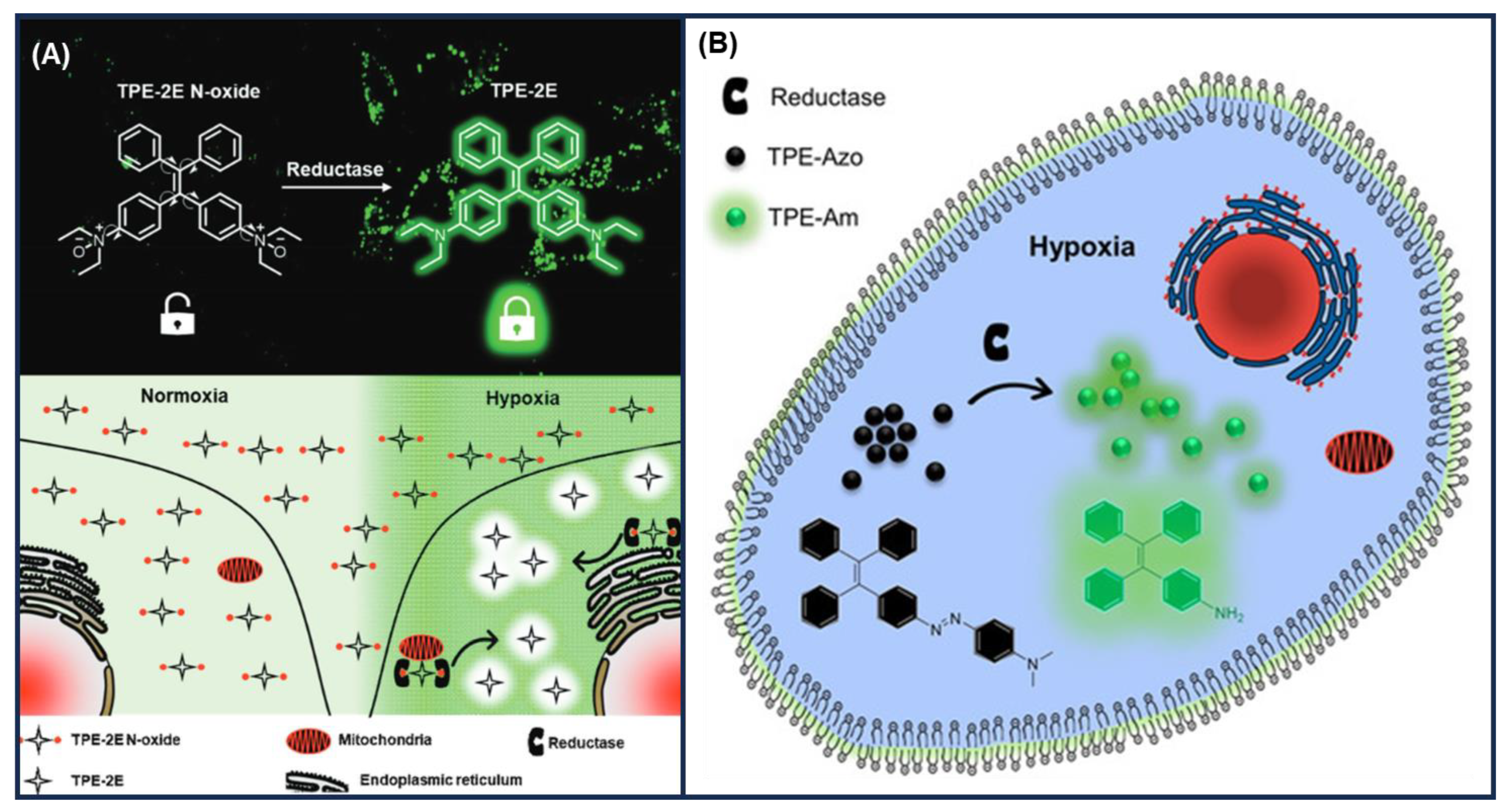 Photochem 05 00023 g017