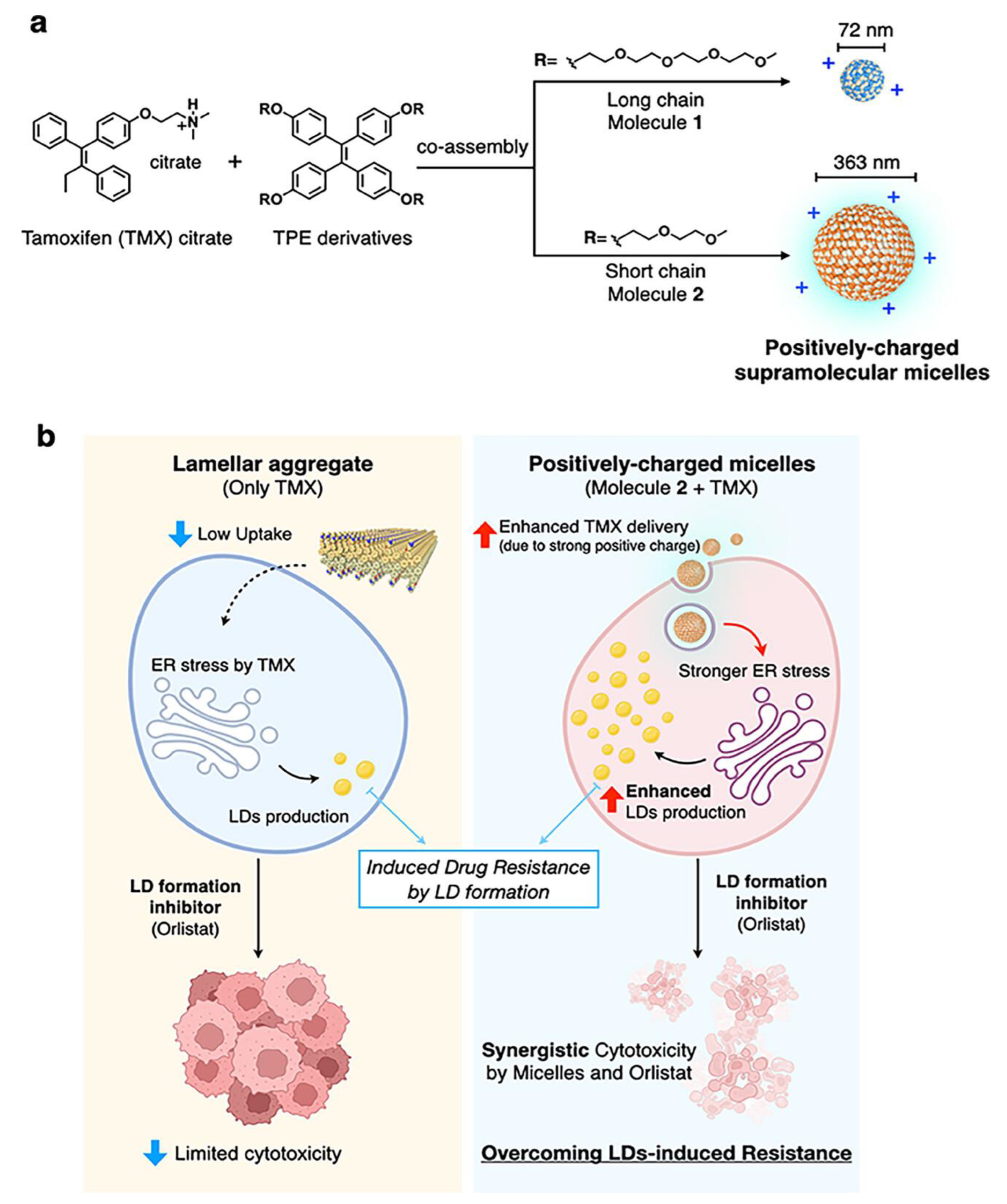 Photochem 05 00023 g018