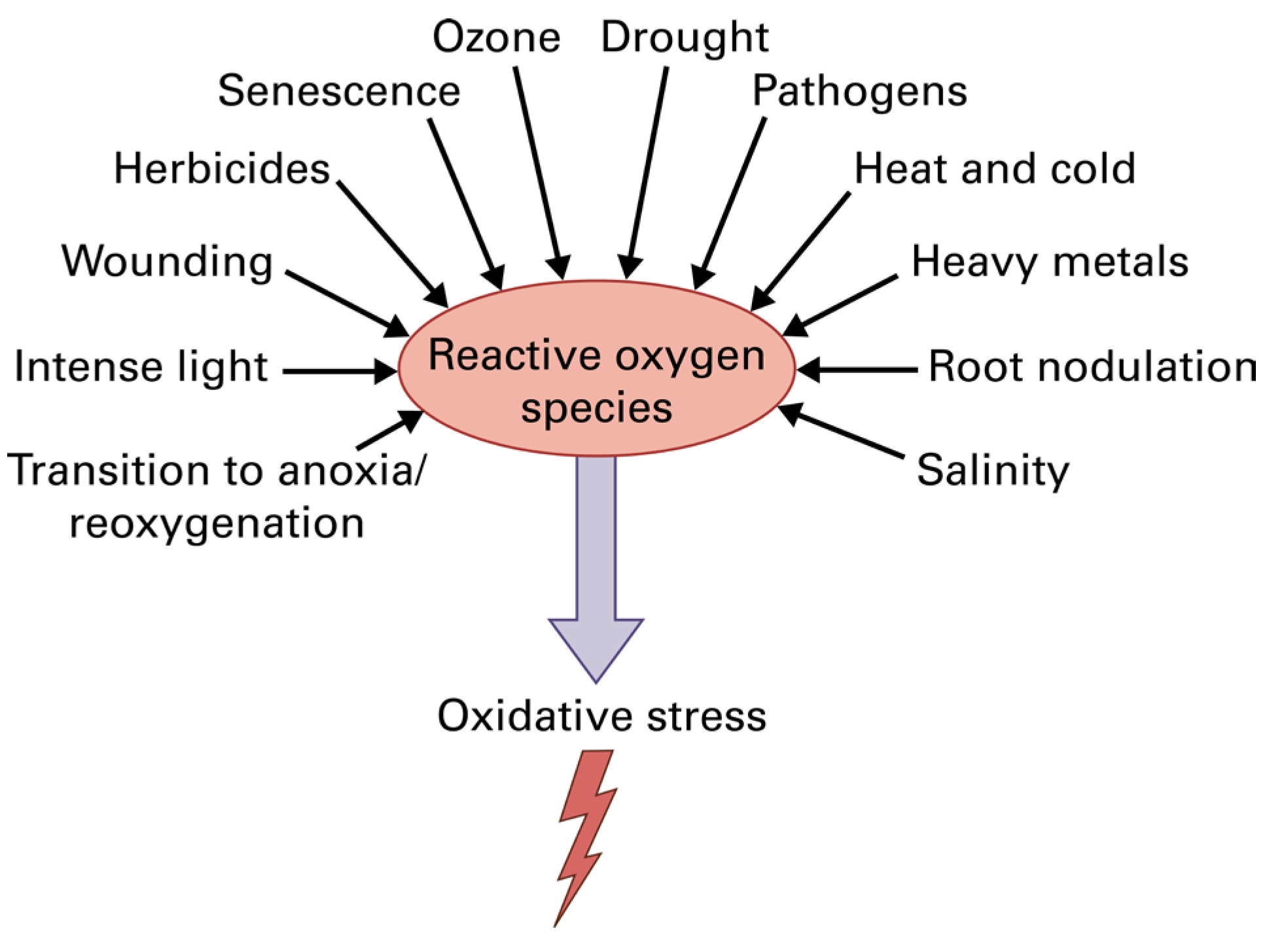 Photochem 05 00028 g001