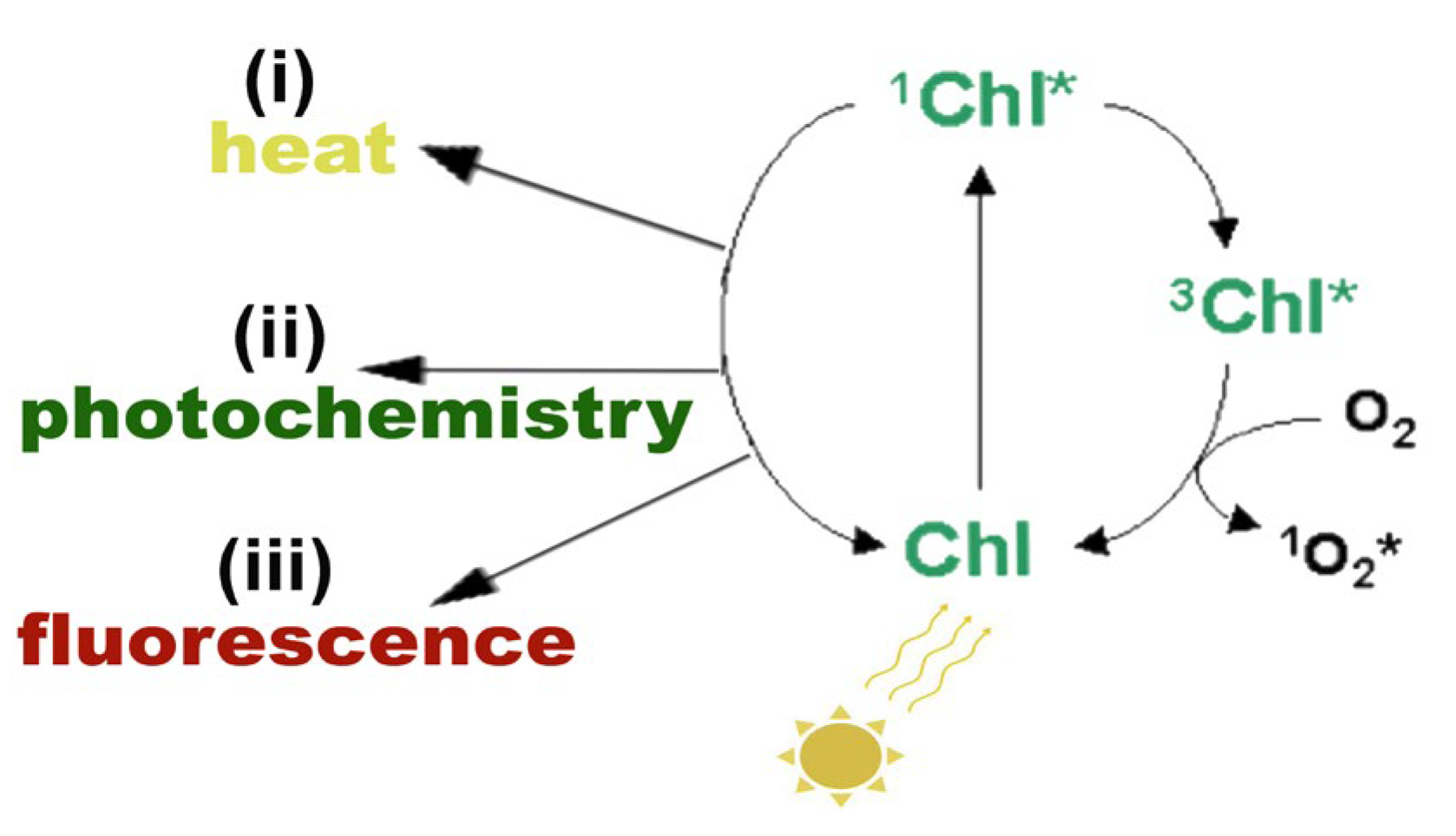 Photochem 05 00028 g002