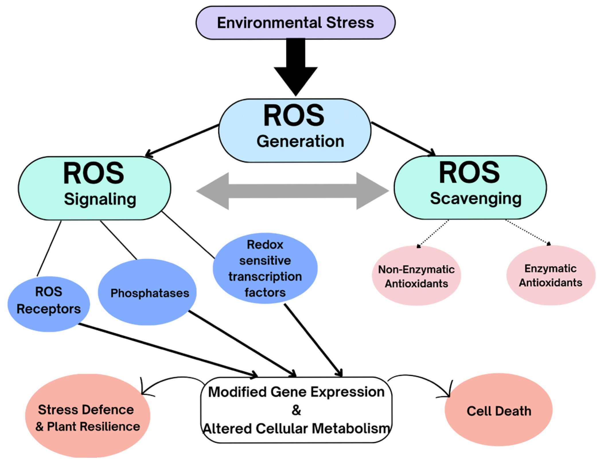 Photochem 05 00028 g007